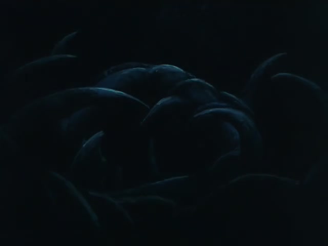 Inuyasha Ep 3: Down the Rabbit Hole and Back Again @ 09:01