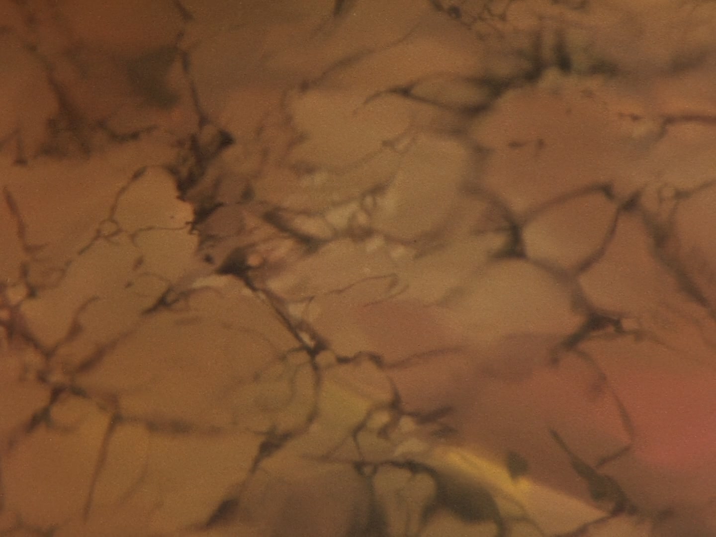 Super Dimension Fortress Macross Ep 29: Lonely Song @ 01:45
