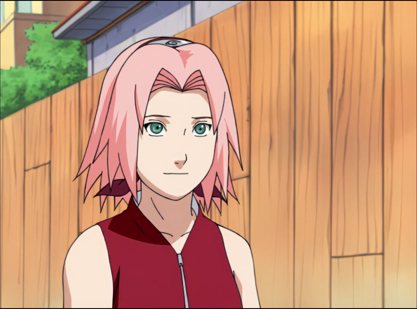 Naruto: Shippuden Ep 1: Homecoming @ 00:17:11