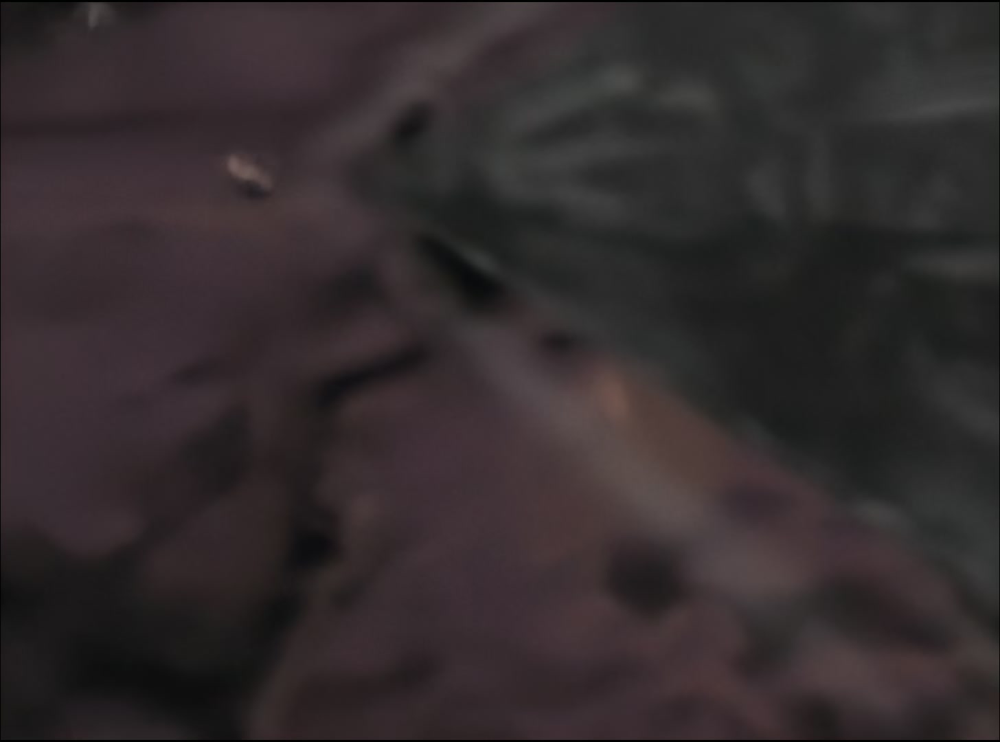 Naruto: Shippuden Ep 23: Father and Mother @ 00:19:12
