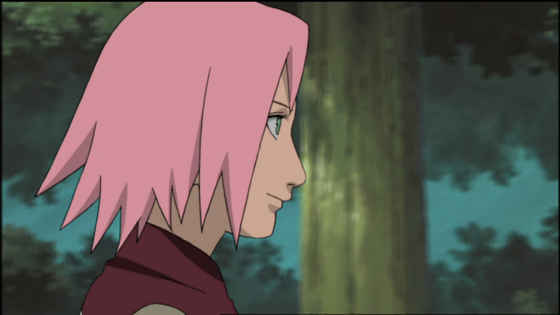 Naruto: Shippuden Ep 74: Under the Starry Sky @ 00:08:29