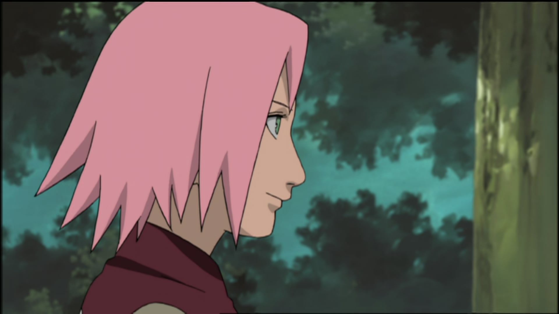 Naruto: Shippuden Ep 74: Under the Starry Sky @ 00:08:34