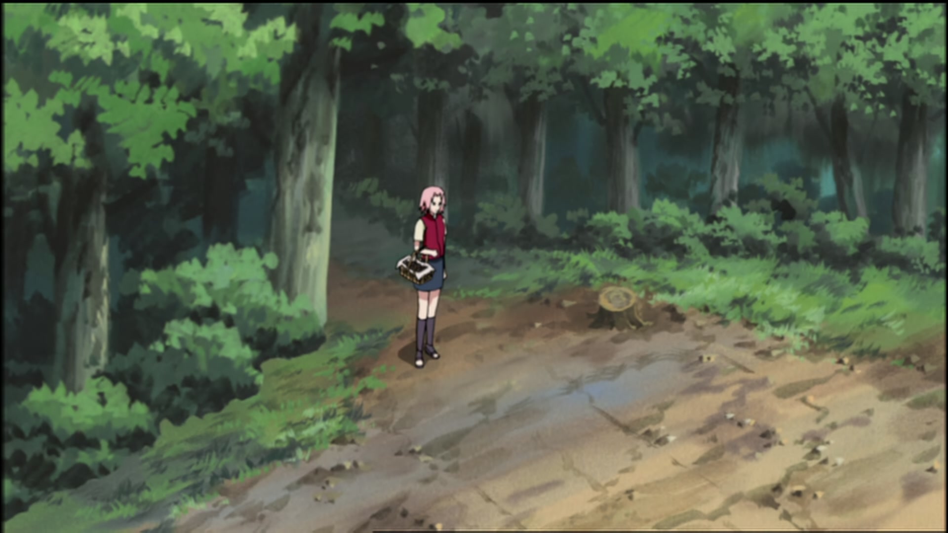 Naruto: Shippuden Ep 74: Under the Starry Sky @ 00:08:43