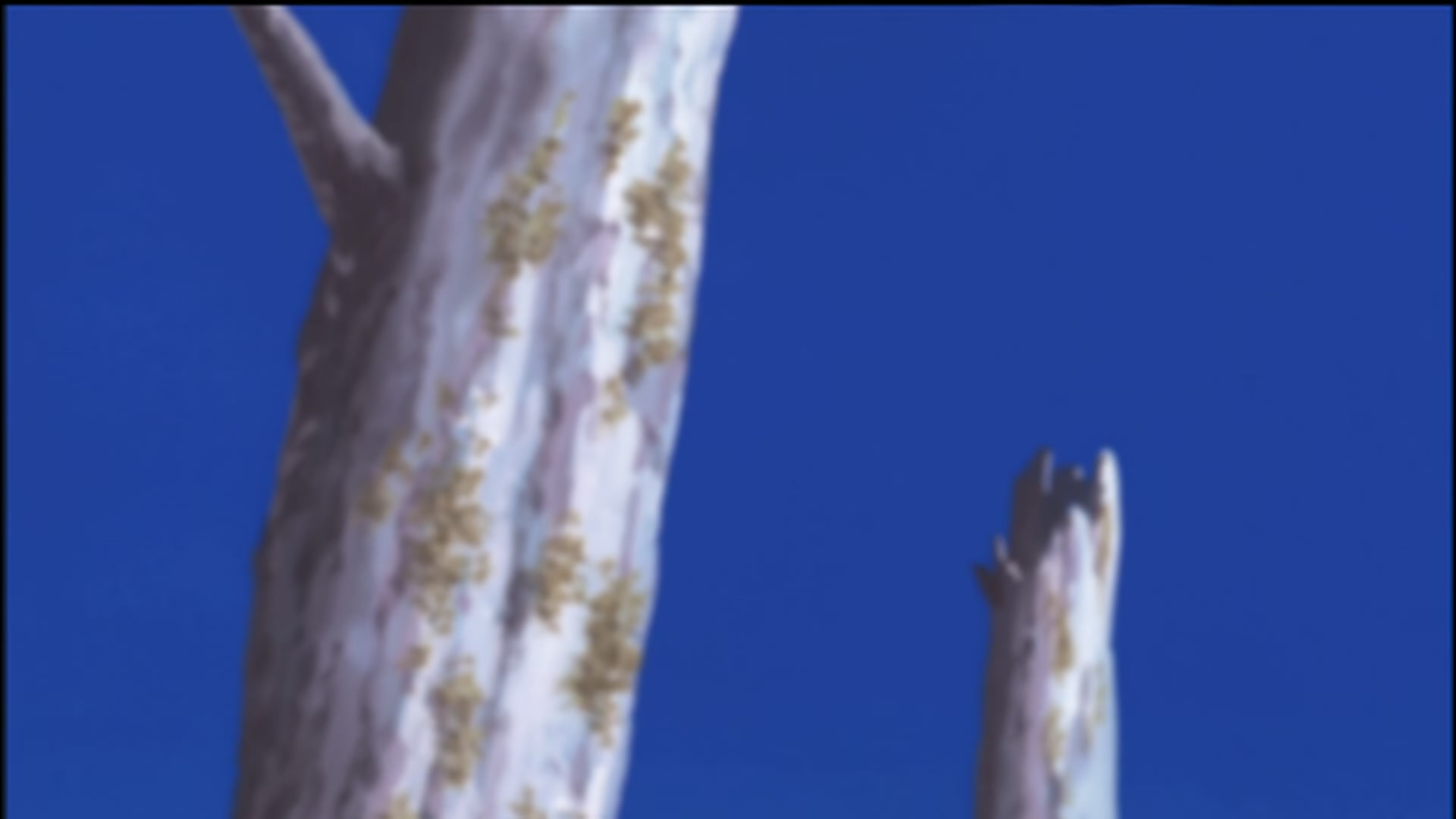 Naruto: Shippuden Ep 86: Shikamaru's Genius @ 00:15:33