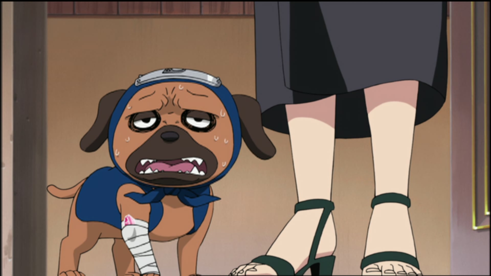 Naruto: Shippuden Ep 92: Encounter @ 00:19:13