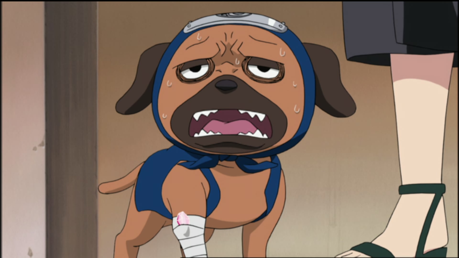 Naruto: Shippuden Ep 92: Encounter @ 00:19:18