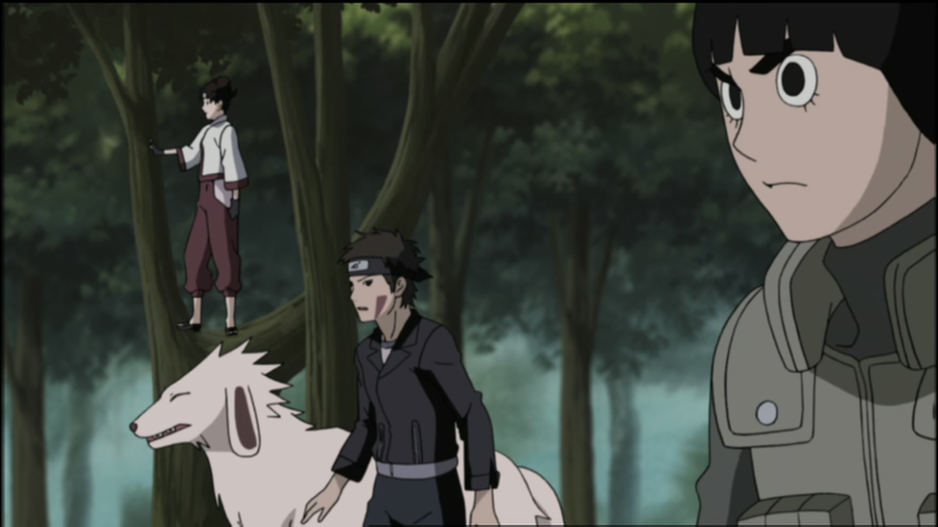 Naruto: Shippuden Ep 108: Guidepost of the Camellia @ 00:08:02