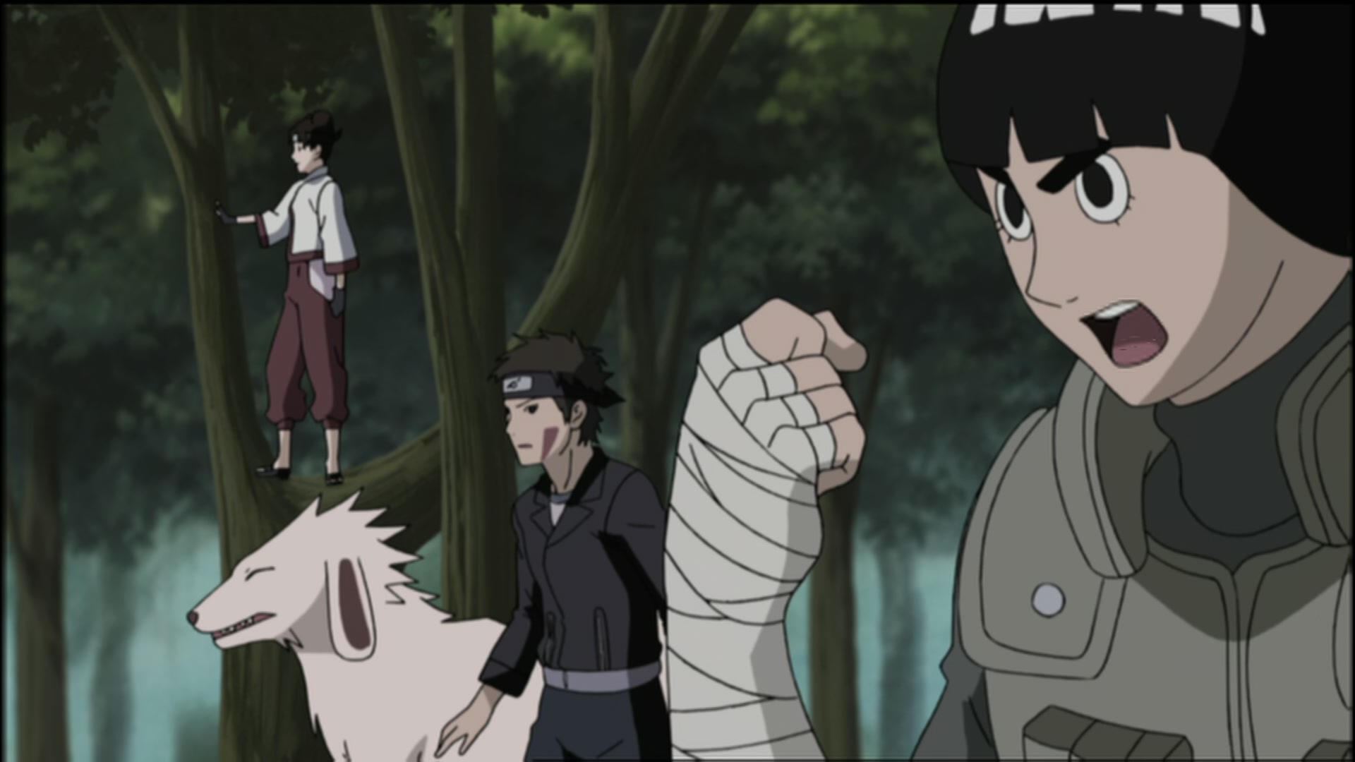Naruto: Shippuden Ep 108: Guidepost of the Camellia @ 00:08:06