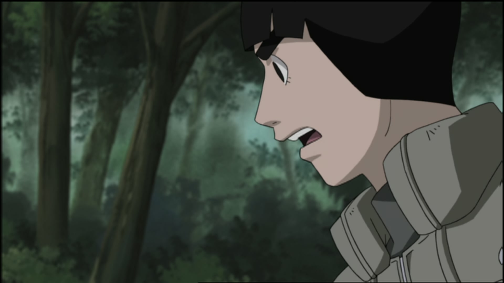 Naruto: Shippuden Ep 108: Guidepost of the Camellia @ 00:08:39