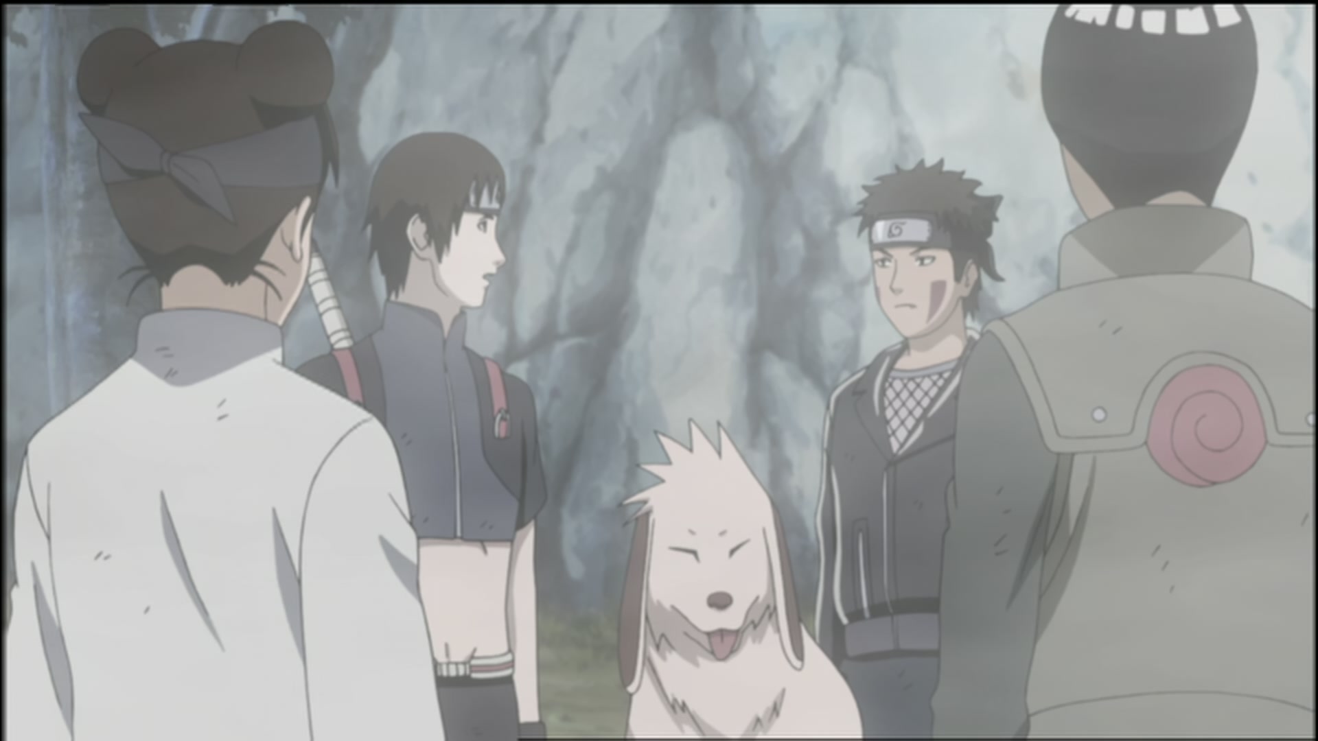 Naruto: Shippuden Ep 110: Memory of Guilt @ 00:05:45