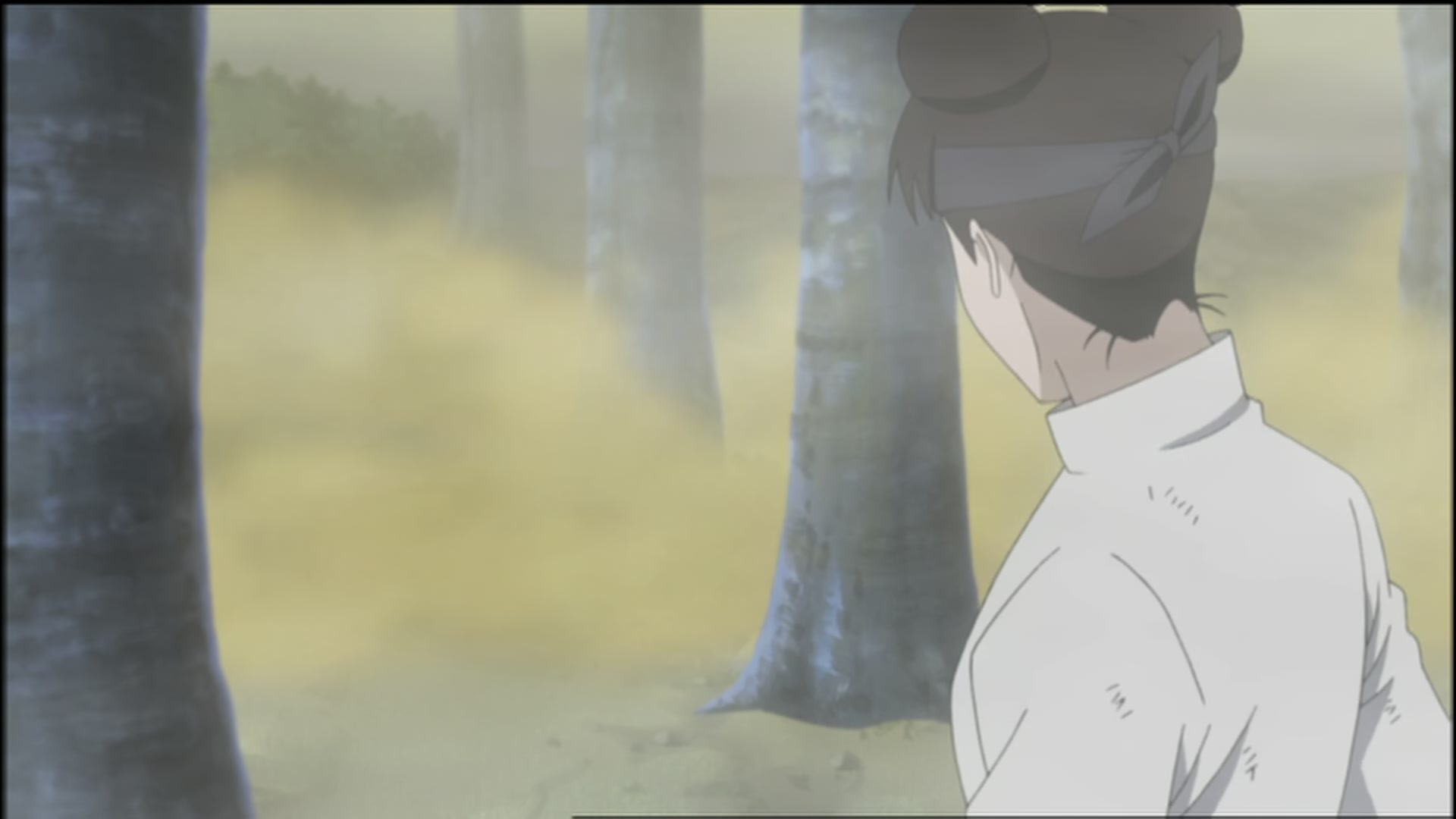 Naruto: Shippuden Ep 110: Memory of Guilt @ 00:05:49