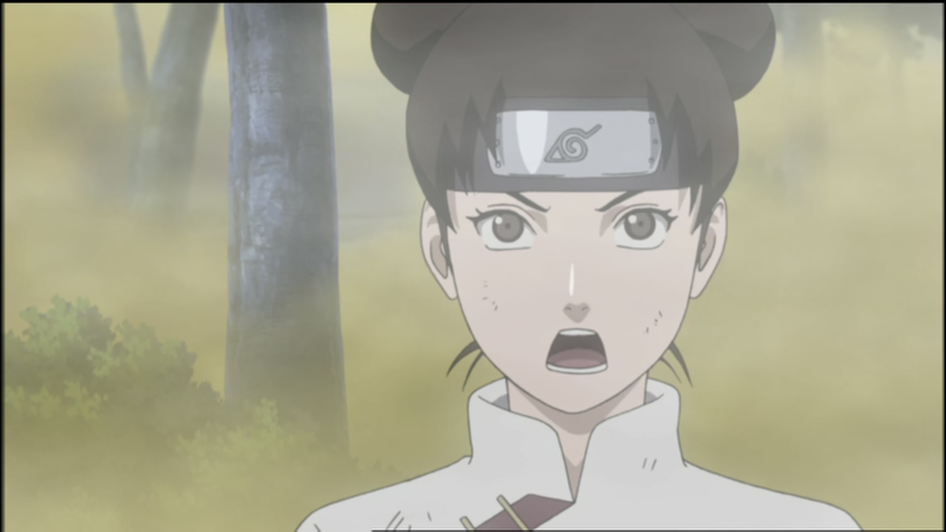 Naruto: Shippuden Ep 110: Memory of Guilt @ 00:06:04