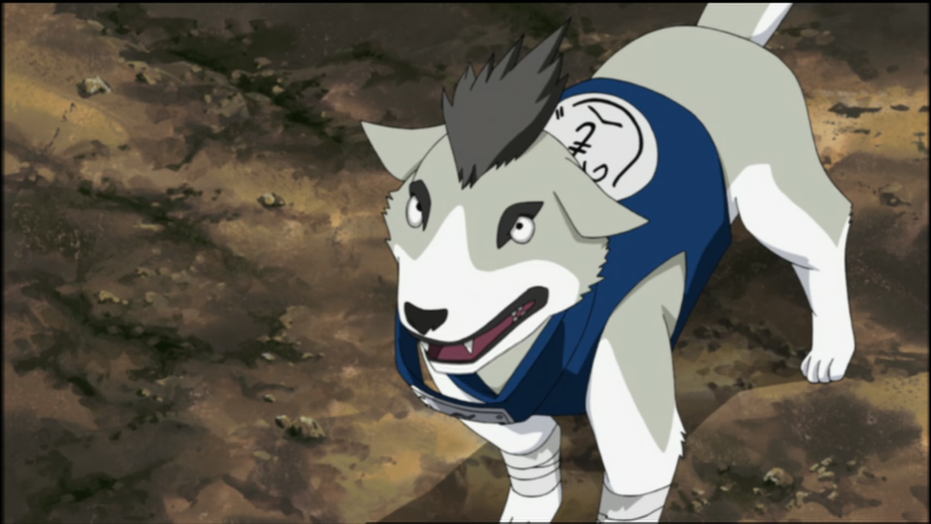 Naruto: Shippuden Ep 125: Disappearance @ 00:11:15