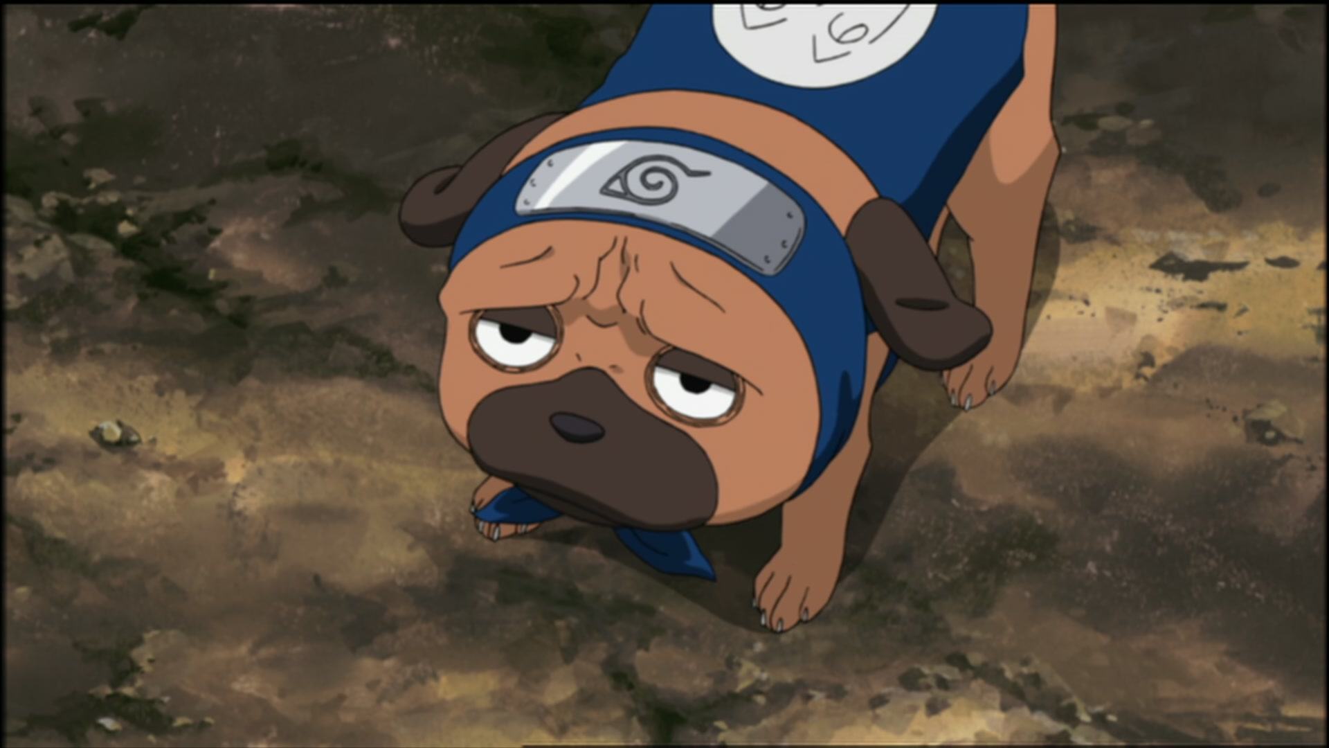 Naruto: Shippuden Ep 125: Disappearance @ 00:12:07