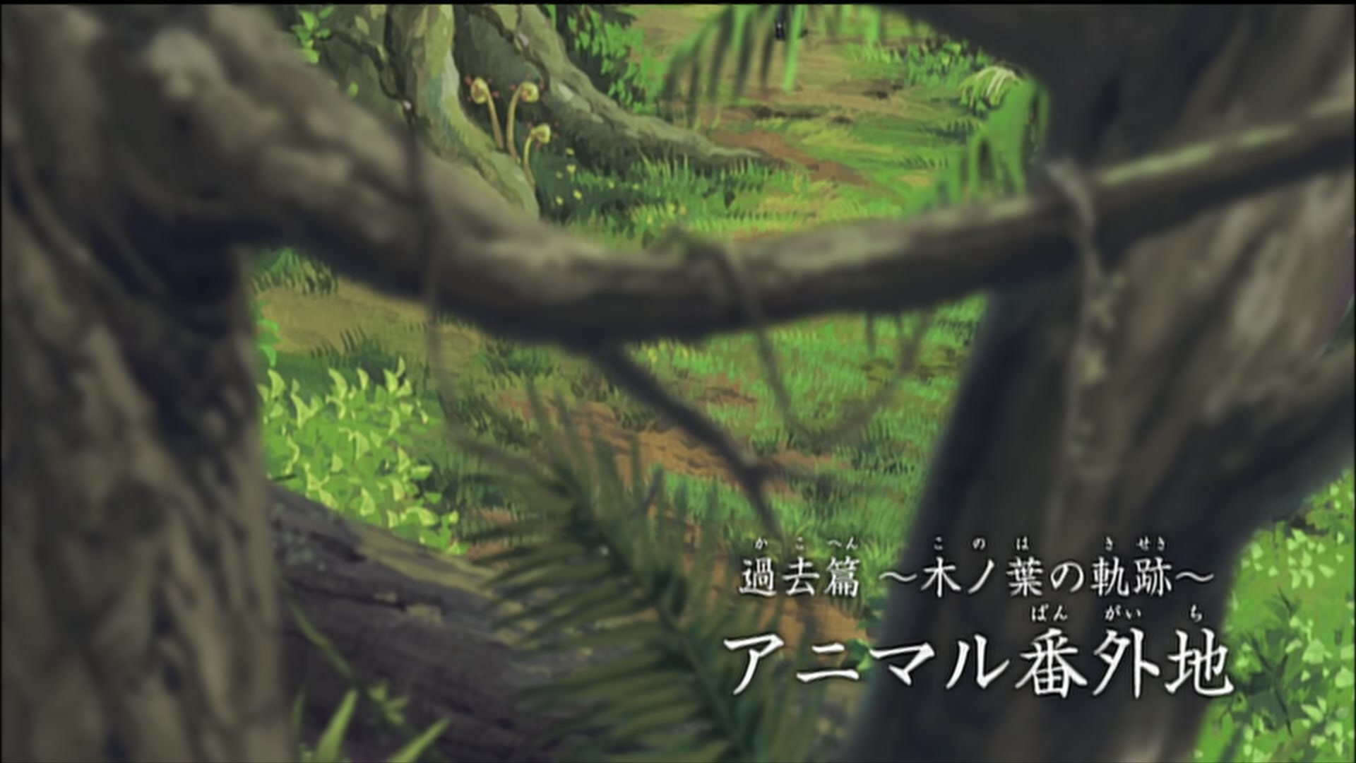 Naruto: Shippuden Ep 185: Animal District @ 00:05:26