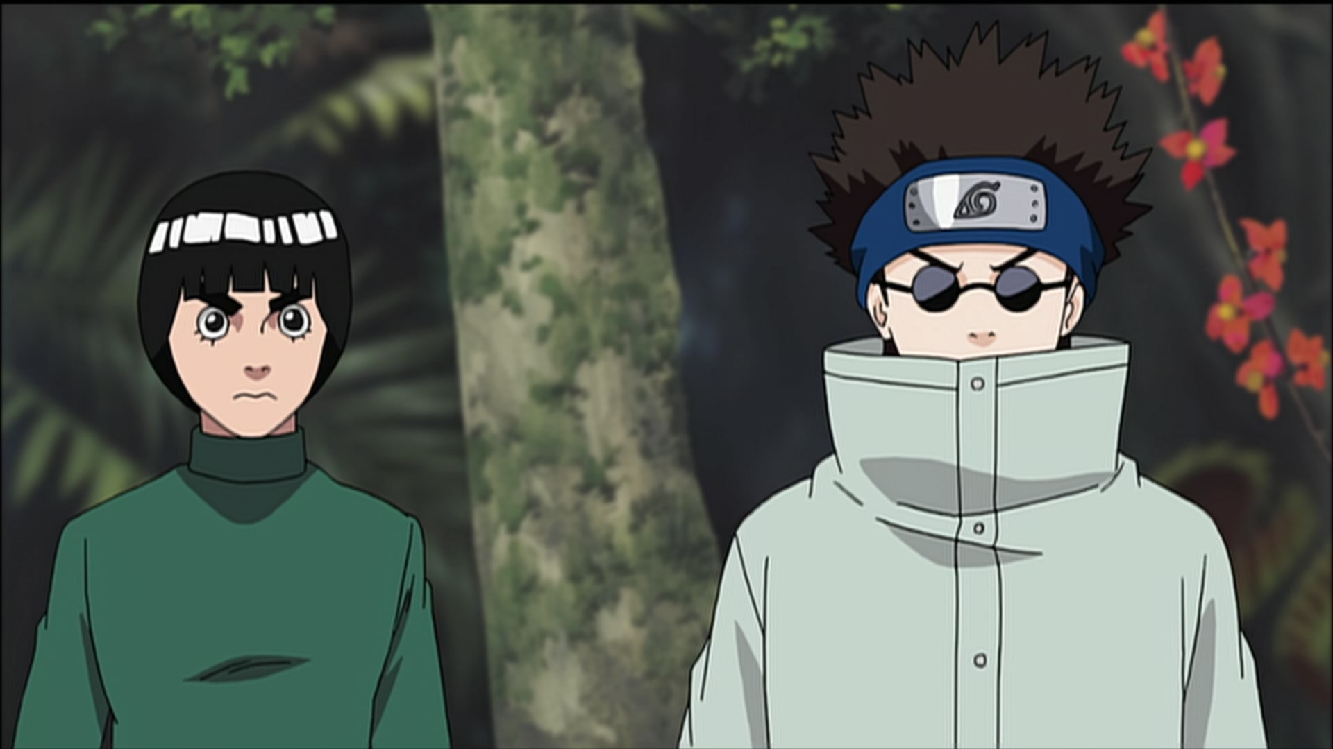 Naruto: Shippuden Ep 185: Animal District @ 00:05:40