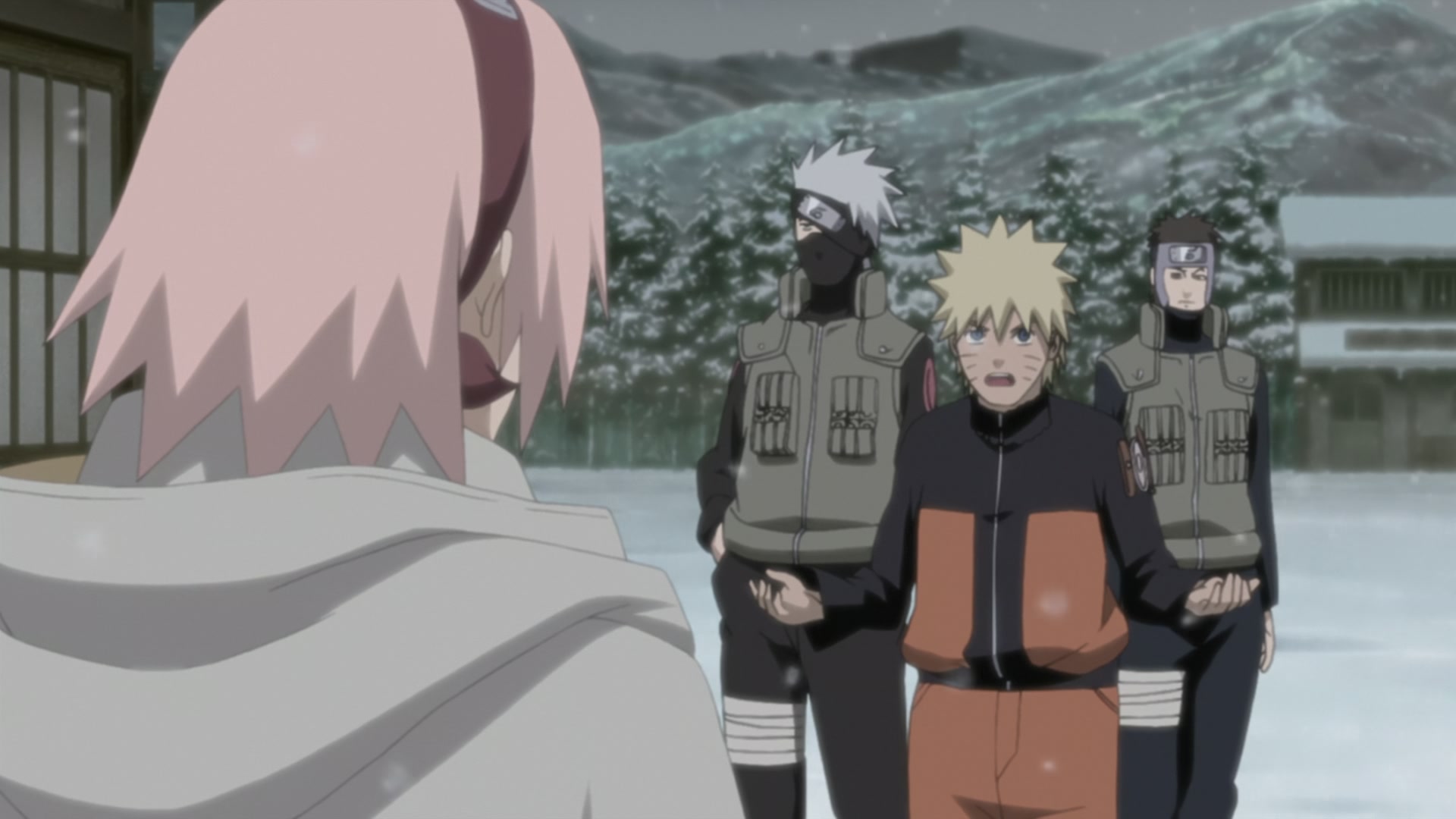 Naruto: Shippuden Ep 206: Sakura's Feelings @ 00:07:44