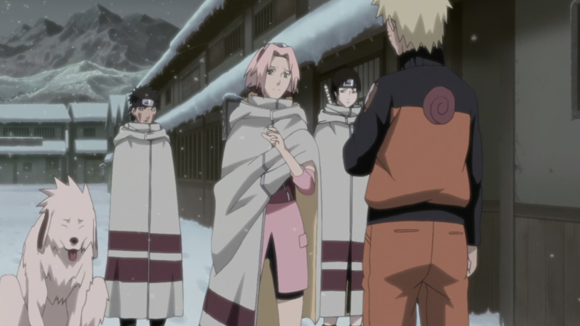 Naruto: Shippuden Ep 206: Sakura's Feelings @ 00:07:54