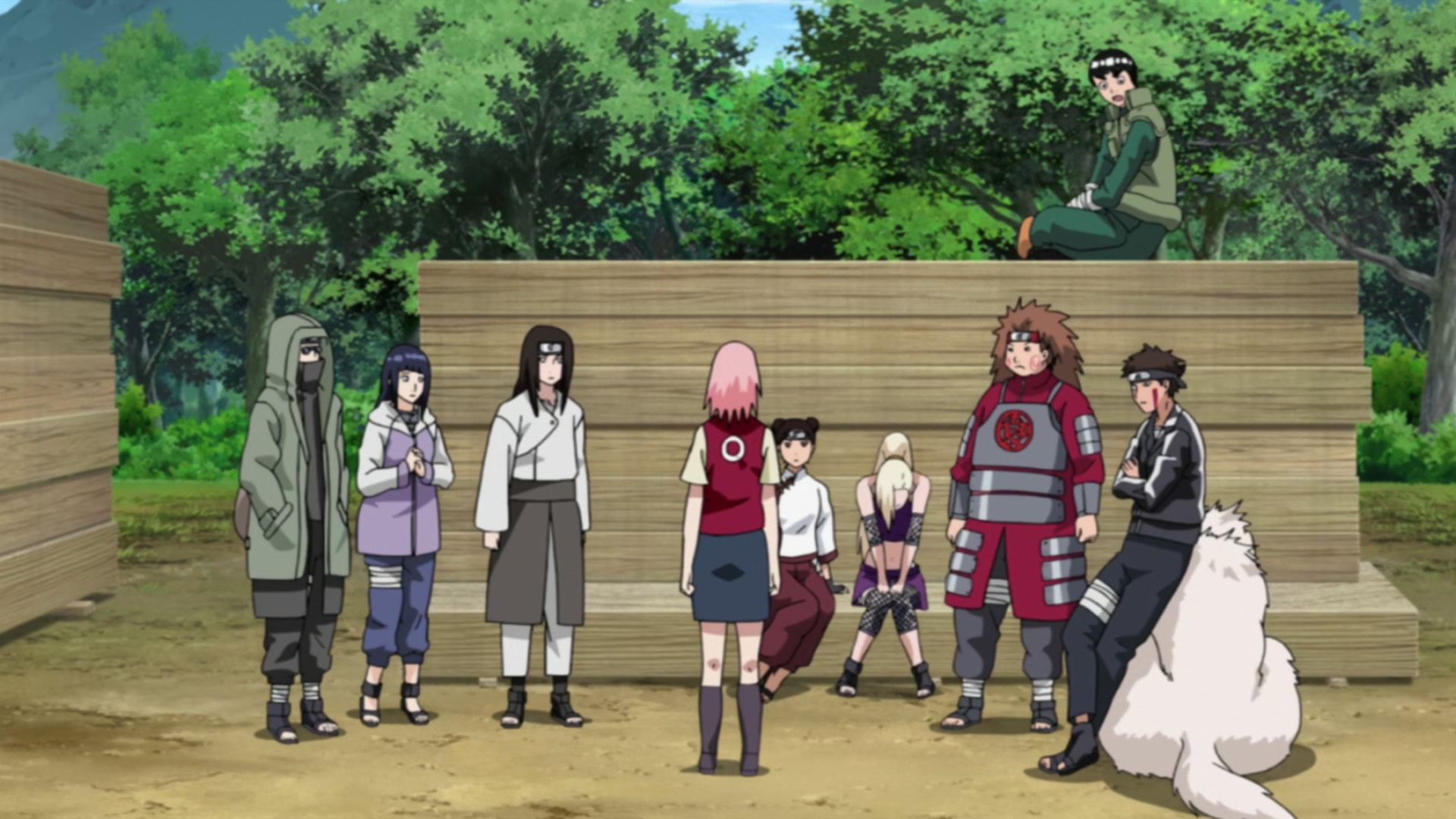 Naruto: Shippuden Ep 206: Sakura's Feelings @ 00:08:32