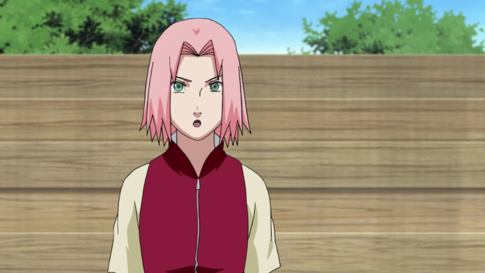 Naruto: Shippuden Ep 206: Sakura's Feelings @ 00:08:37
