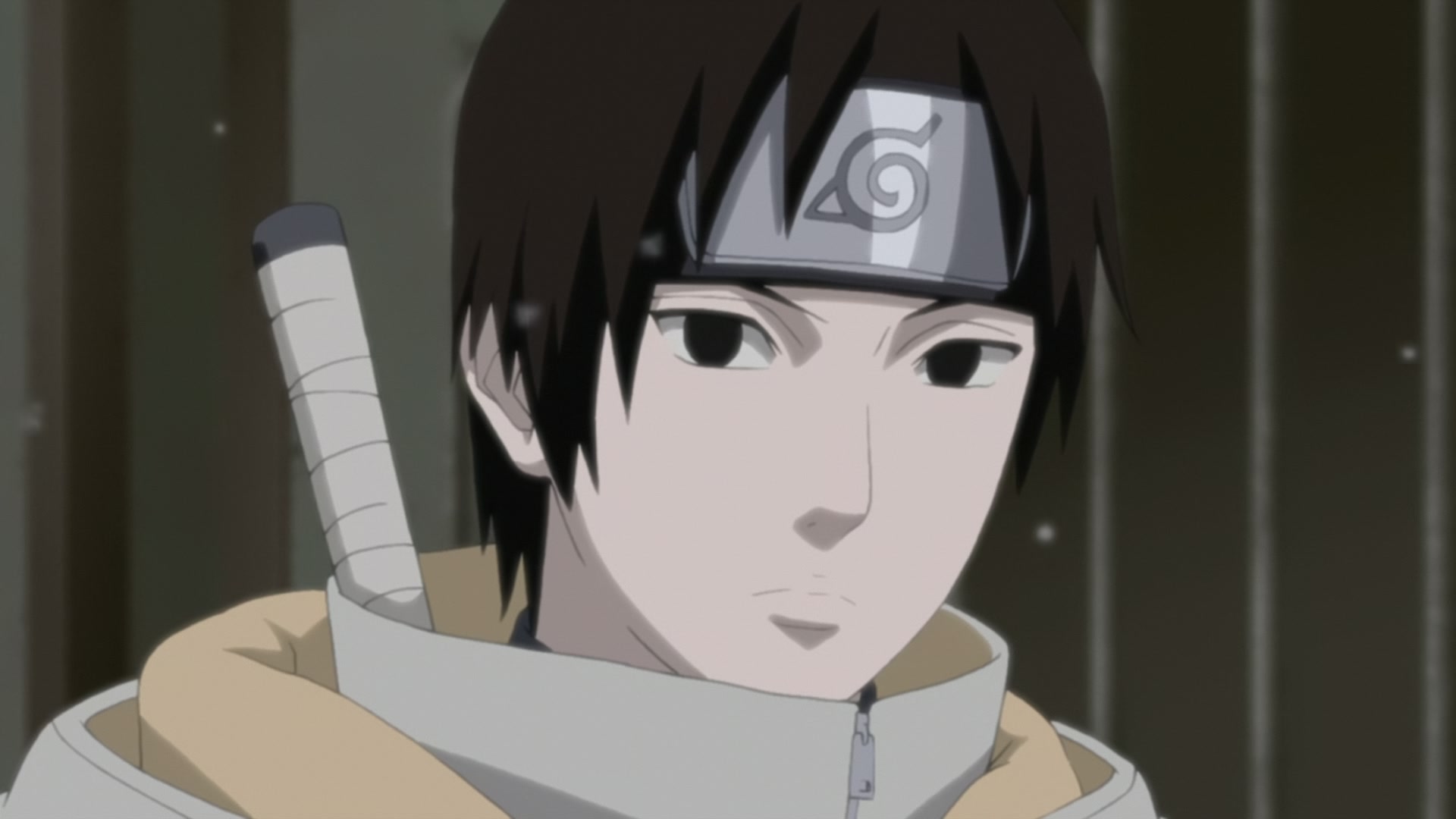 Naruto: Shippuden Ep 206: Sakura's Feelings @ 00:09:24