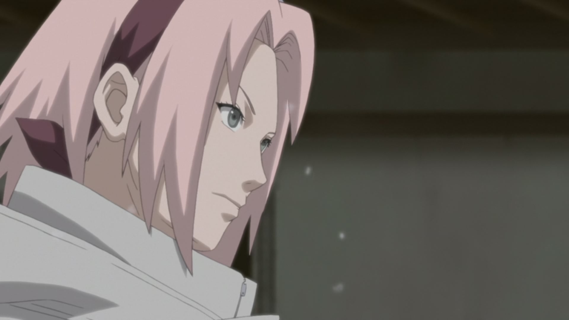 Naruto: Shippuden Ep 206: Sakura's Feelings @ 00:09:29