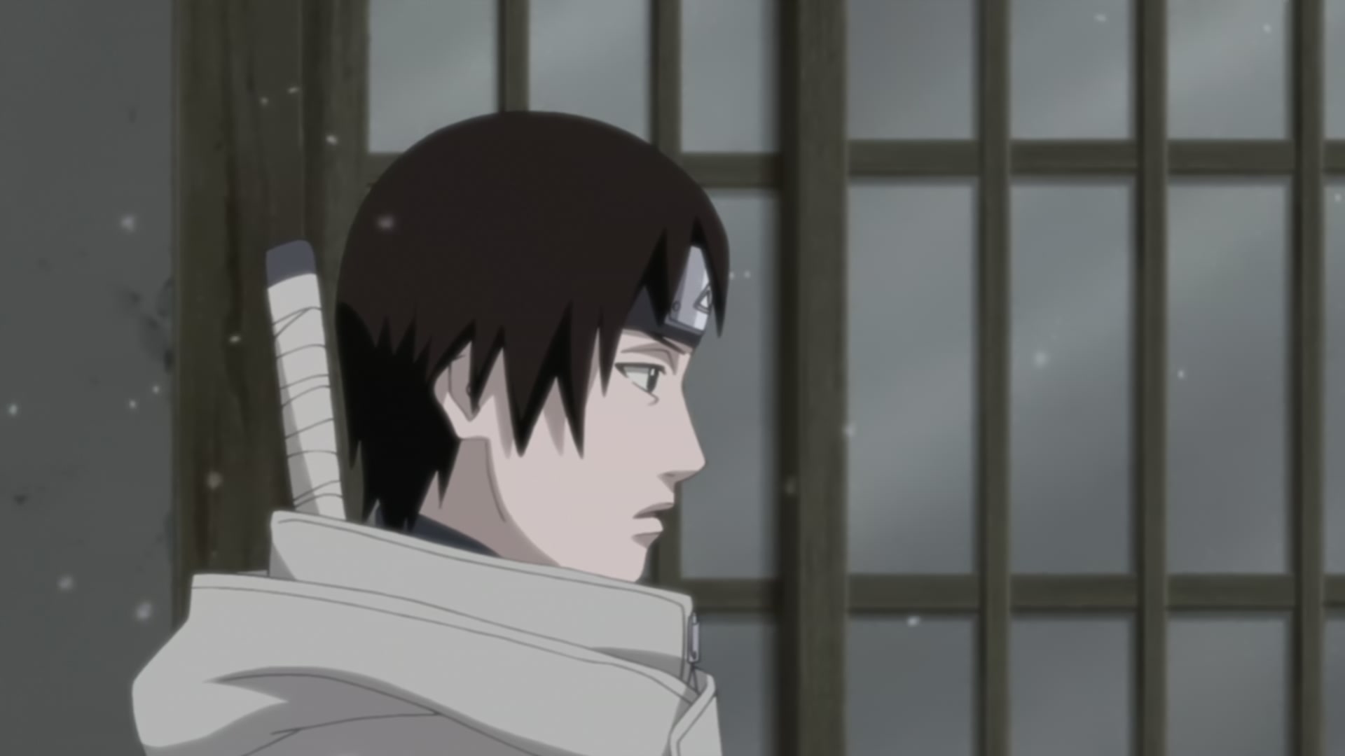Naruto: Shippuden Ep 208: As One's Friend @ 00:05:46