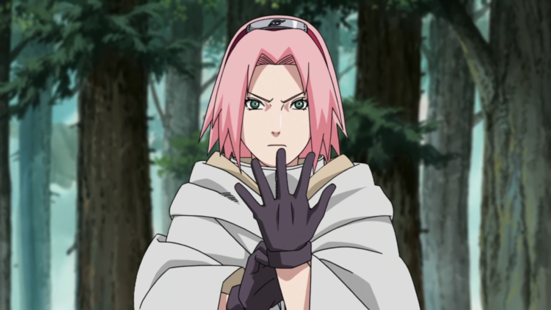 Naruto: Shippuden Ep 212: Sakura's Resolve @ 00:01:53