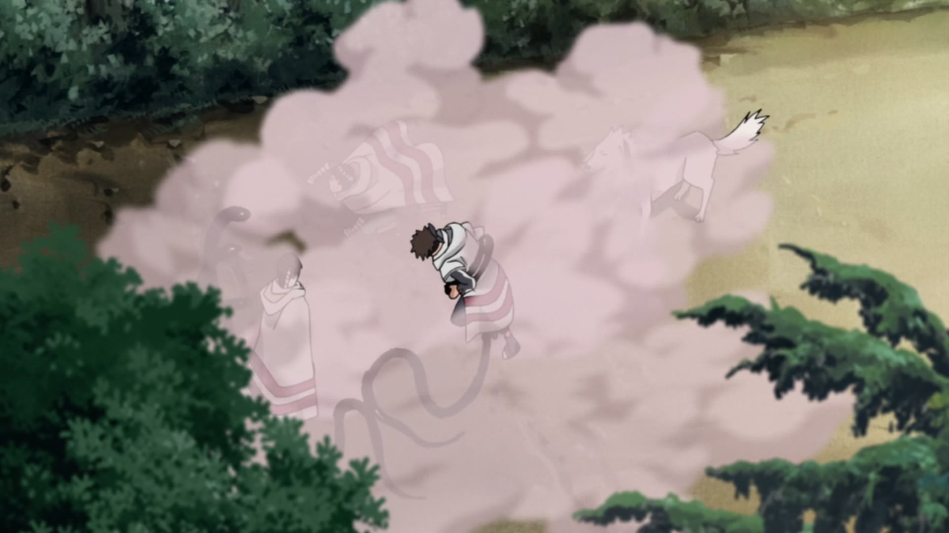Naruto: Shippuden Ep 212: Sakura's Resolve @ 00:02:55