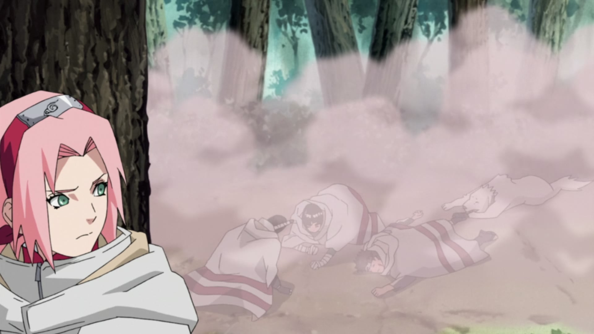 Naruto: Shippuden Ep 212: Sakura's Resolve @ 00:03:00
