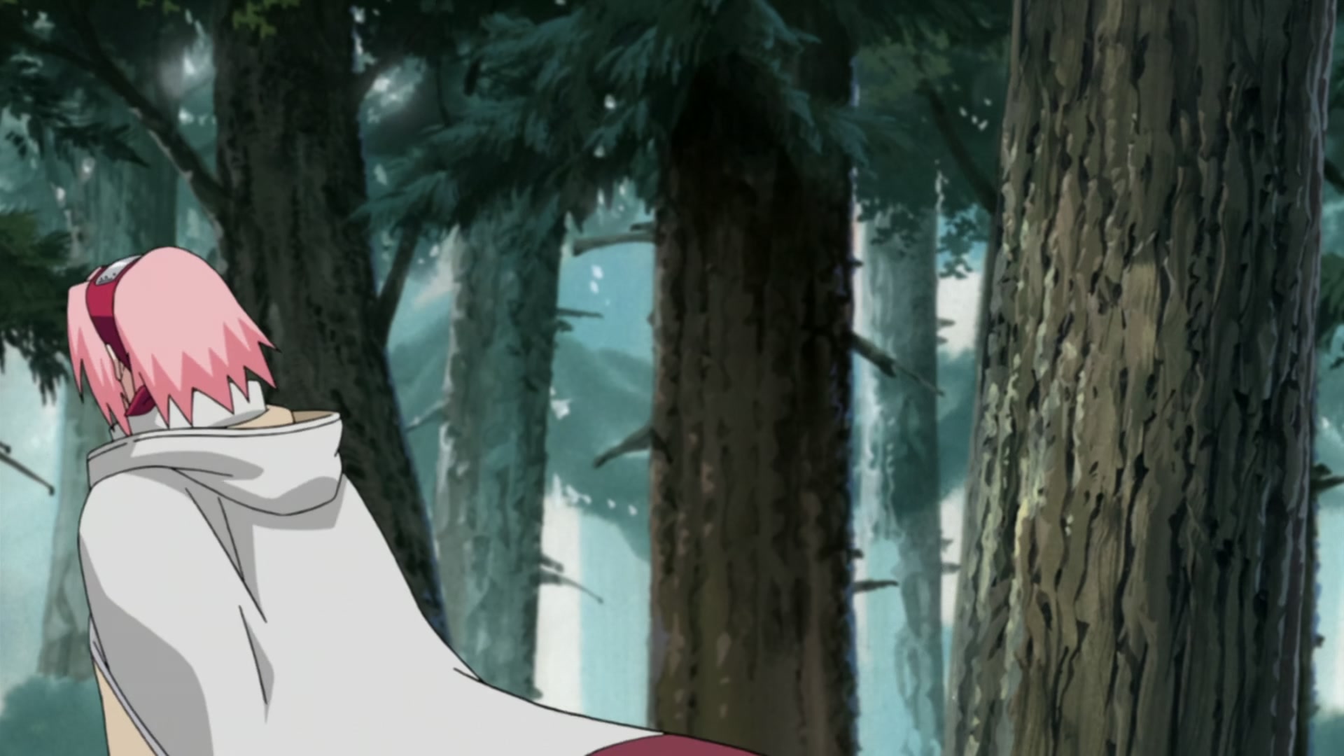 Naruto: Shippuden Ep 212: Sakura's Resolve @ 00:03:14