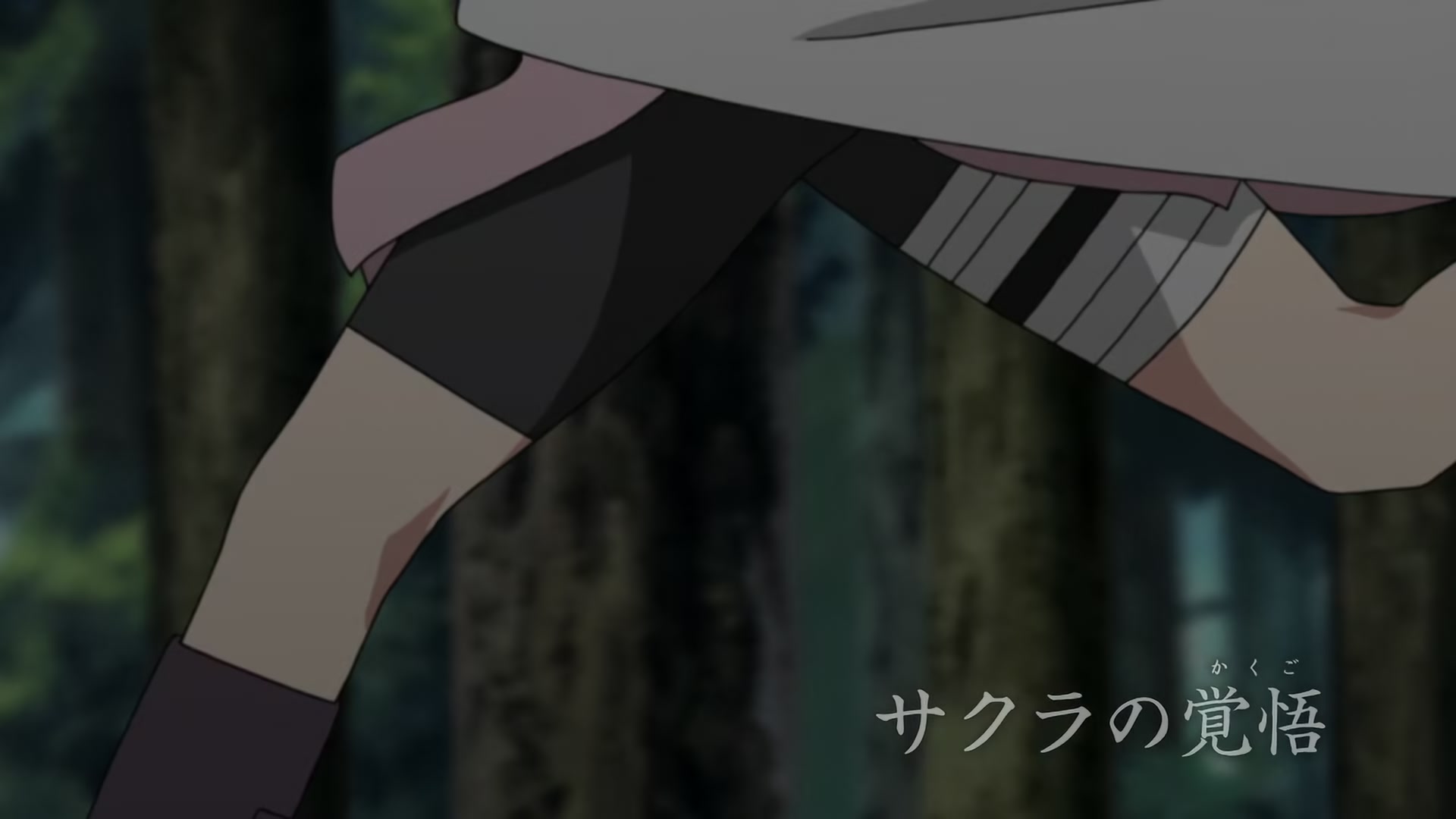 Naruto: Shippuden Ep 212: Sakura's Resolve @ 00:04:54