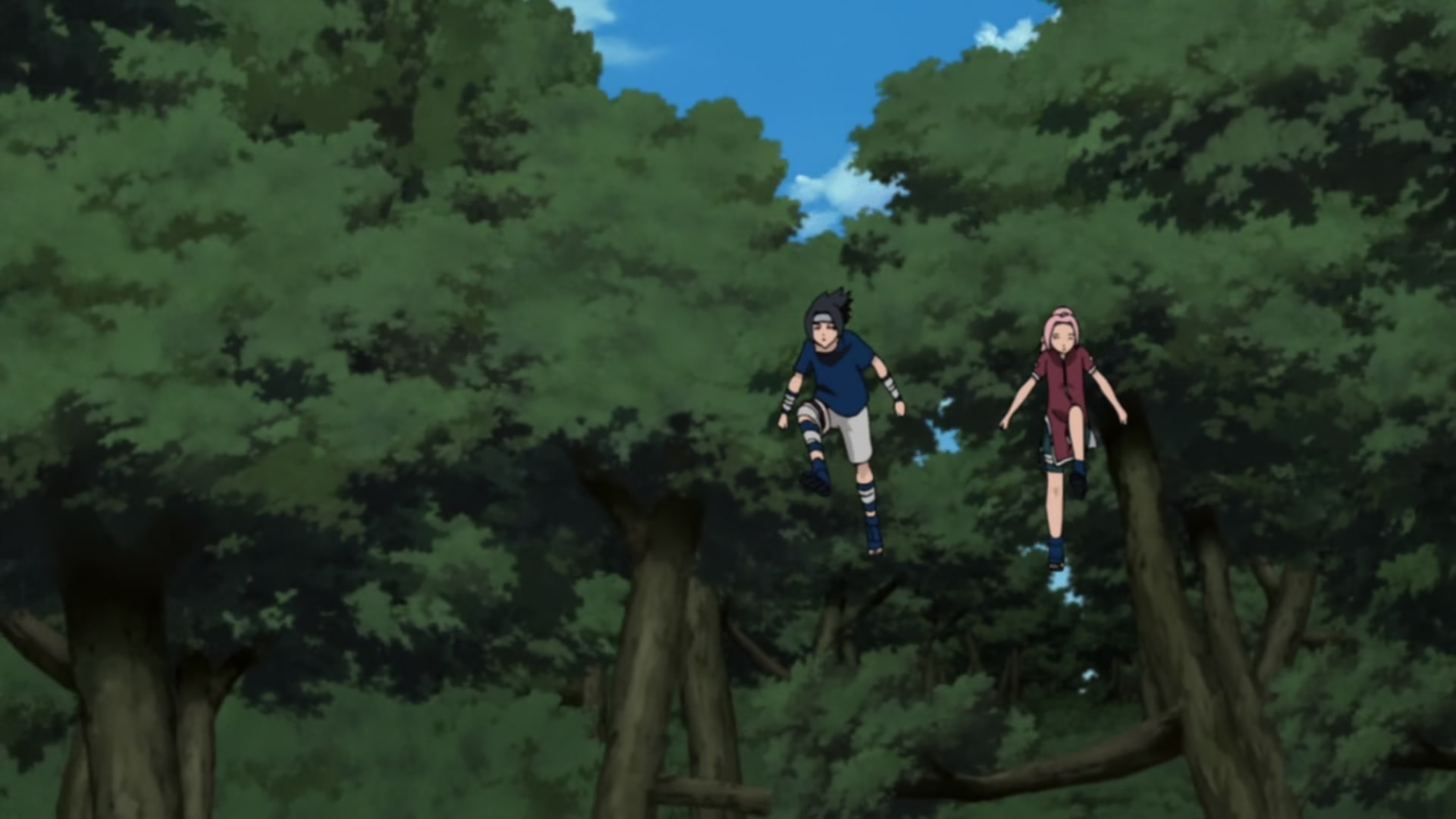 Naruto: Shippuden Ep 212: Sakura's Resolve @ 00:07:21