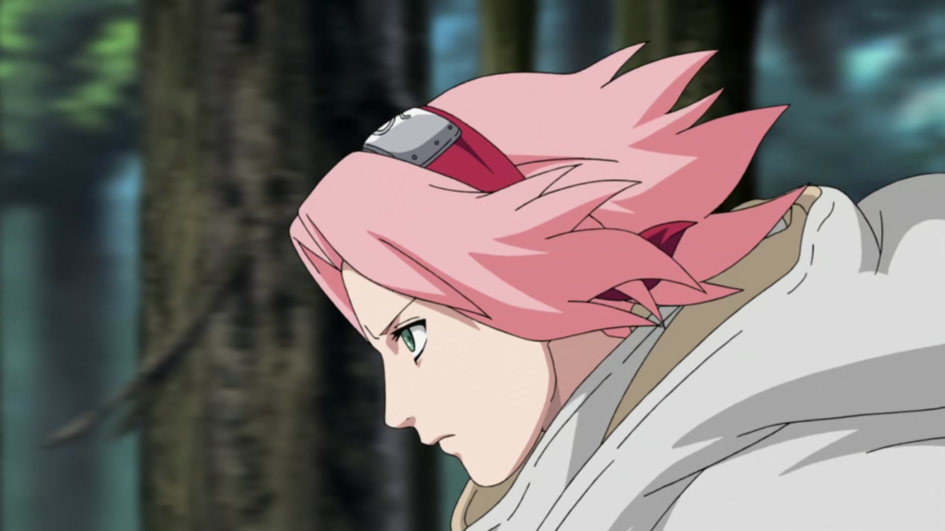 Naruto: Shippuden Ep 212: Sakura's Resolve @ 00:09:58