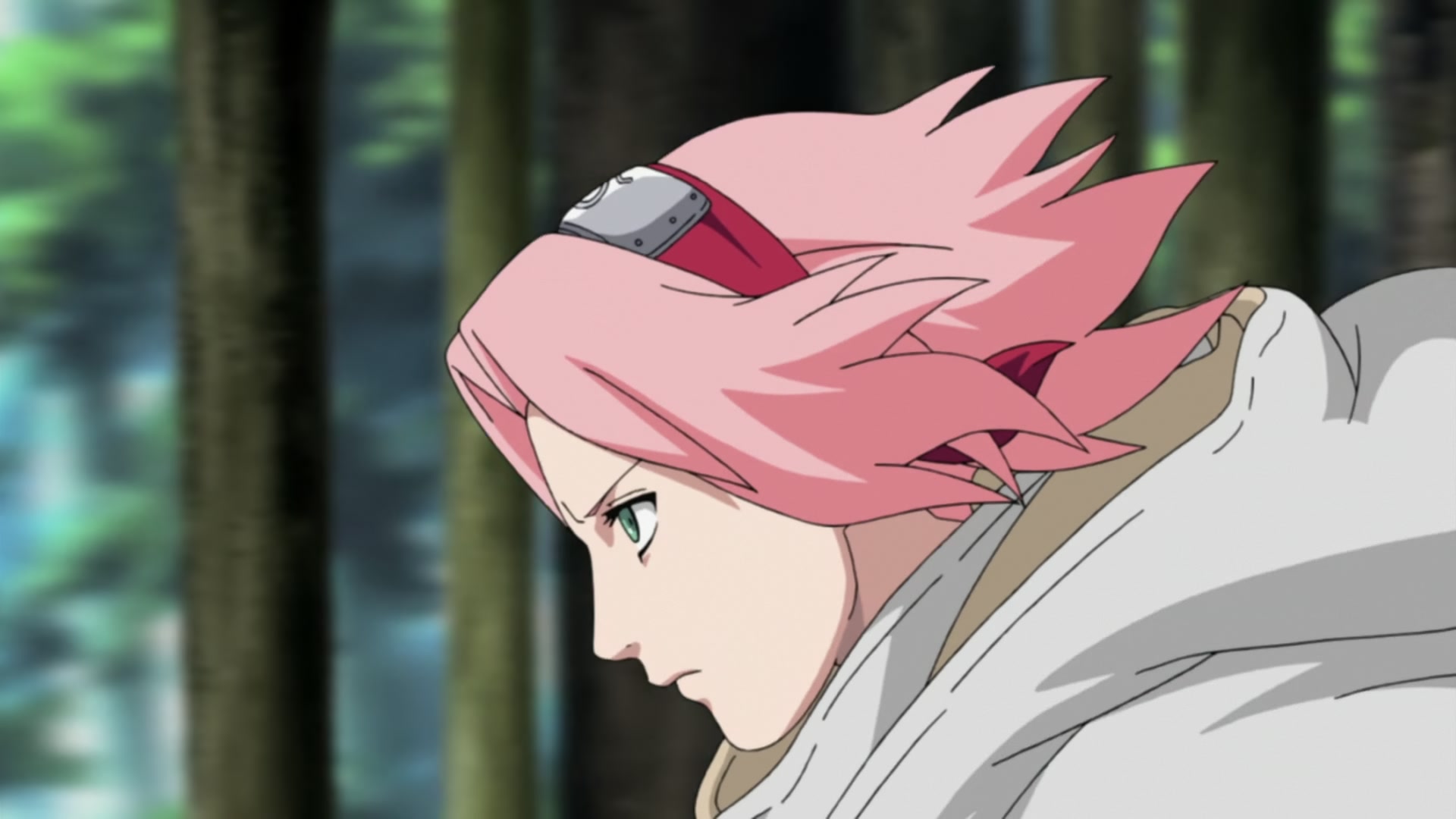 Naruto: Shippuden Ep 212: Sakura's Resolve @ 00:10:03