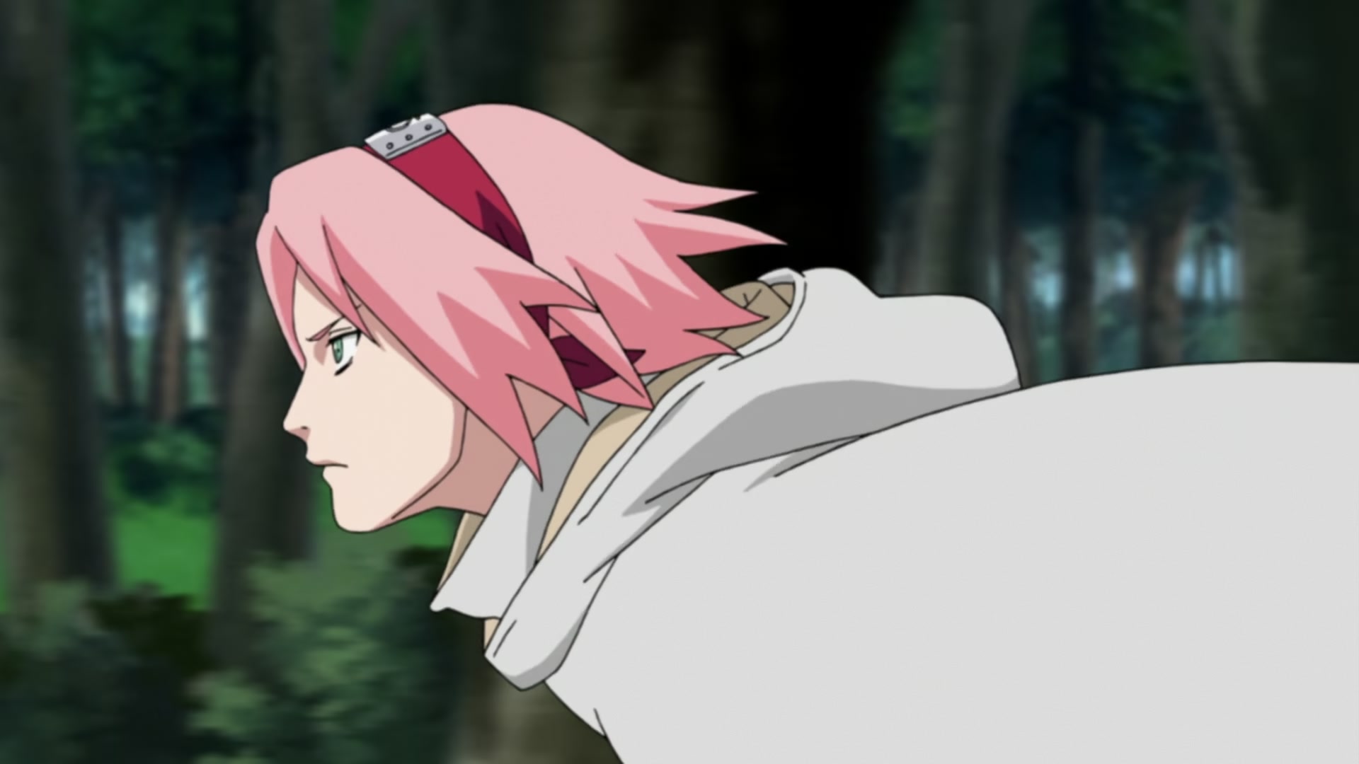 Naruto: Shippuden Ep 212: Sakura's Resolve @ 00:11:19
