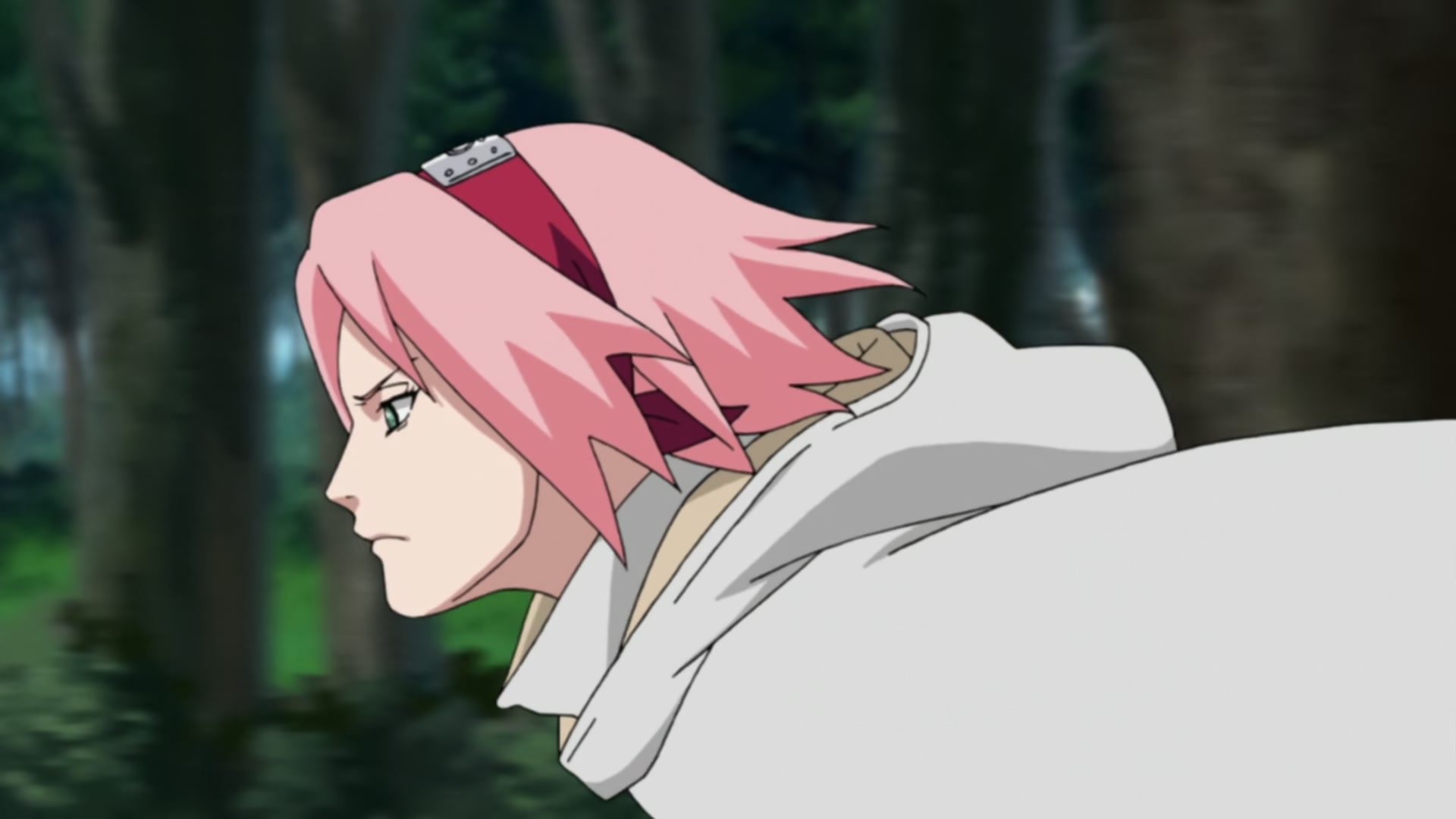 Naruto: Shippuden Ep 212: Sakura's Resolve @ 00:11:23