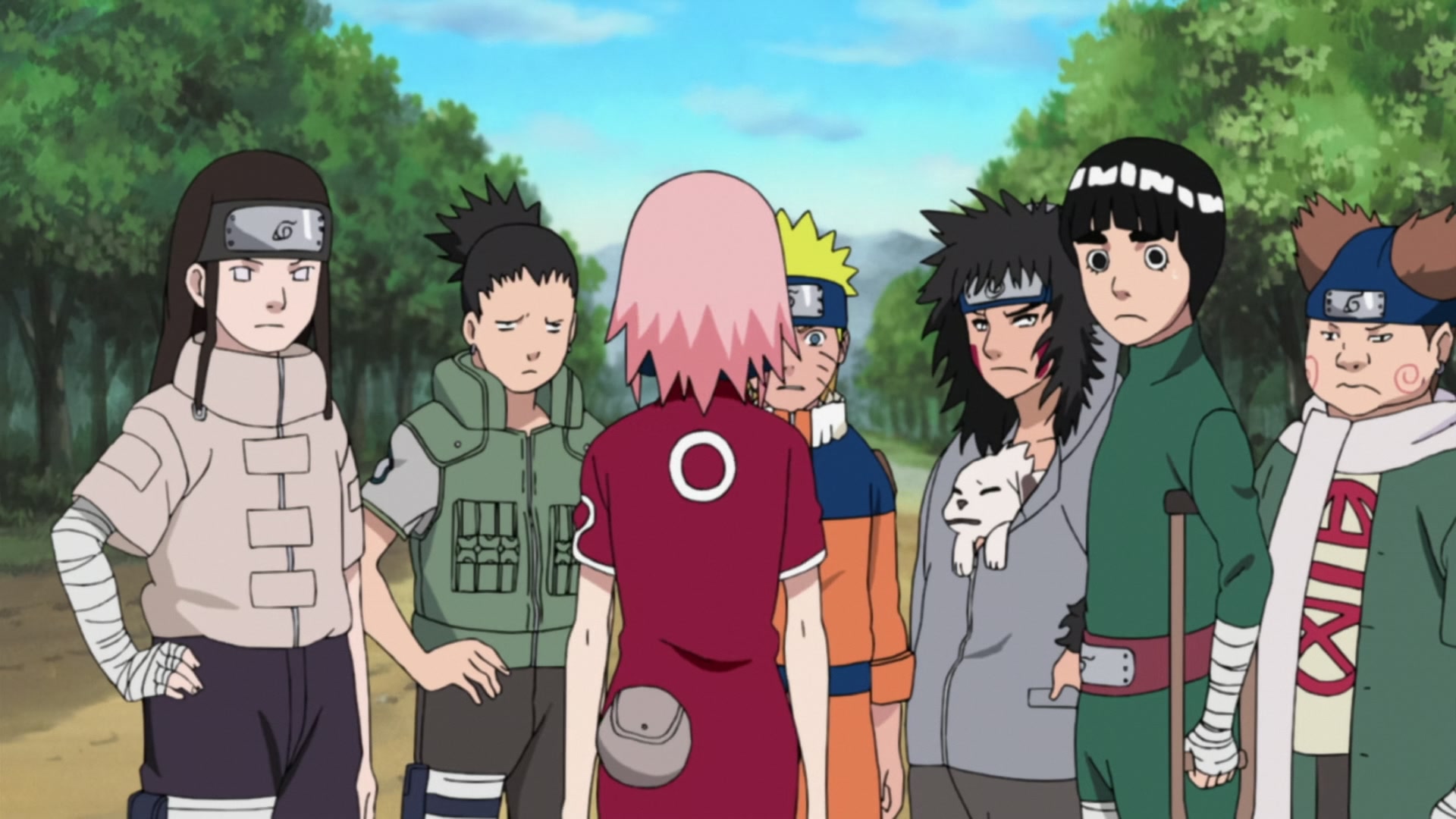 Naruto: Shippuden Ep 212: Sakura's Resolve @ 00:12:30