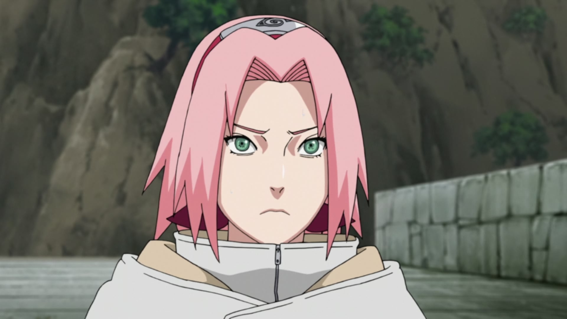 Naruto: Shippuden Ep 212: Sakura's Resolve @ 00:19:52