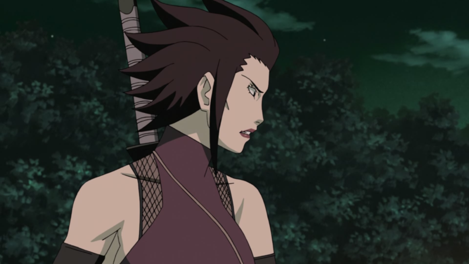 Naruto: Shippuden Ep 235: The Kunoichi of Nadeshiko Village @ 00:09:14