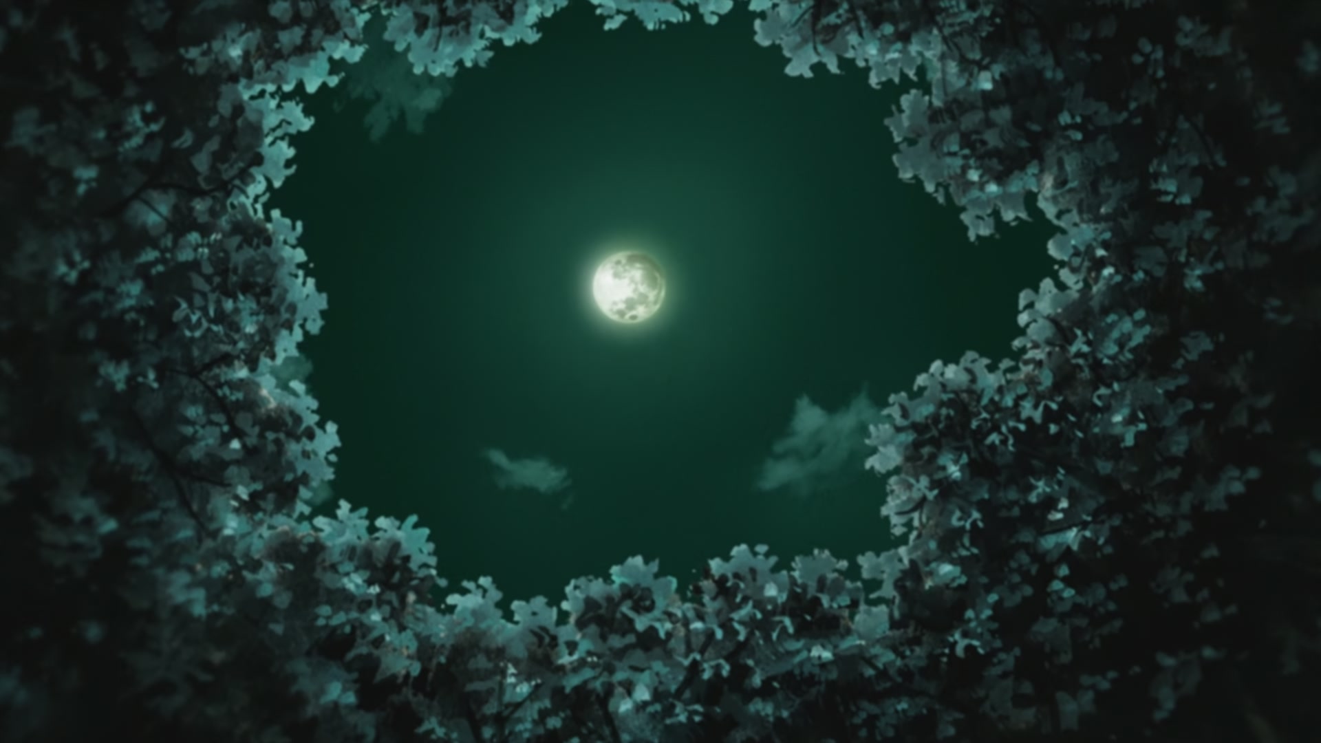 Naruto: Shippuden Ep 235: The Kunoichi of Nadeshiko Village @ 00:09:23