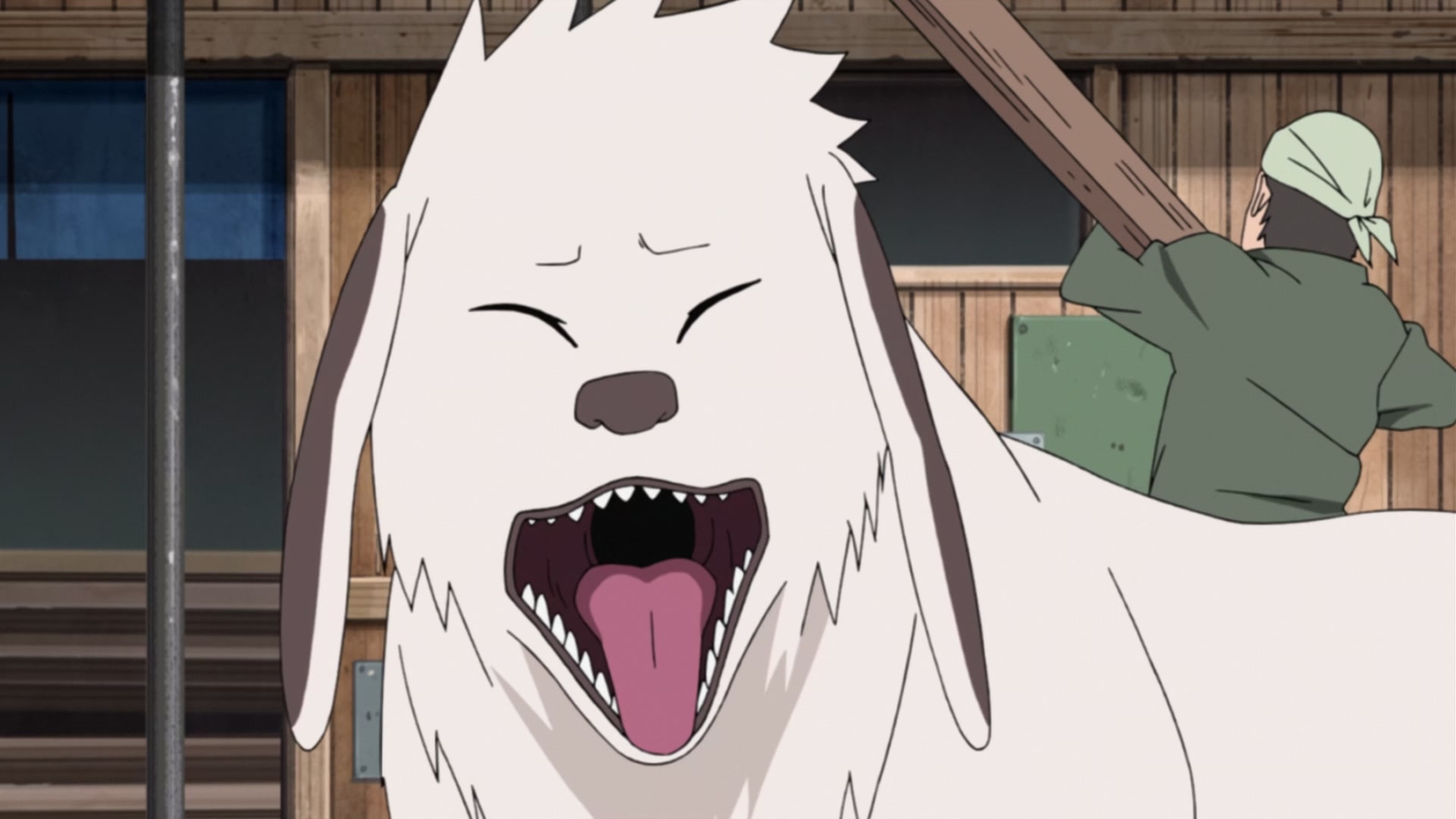 Naruto: Shippuden Ep 240: Kiba's Determination @ 00:05:22