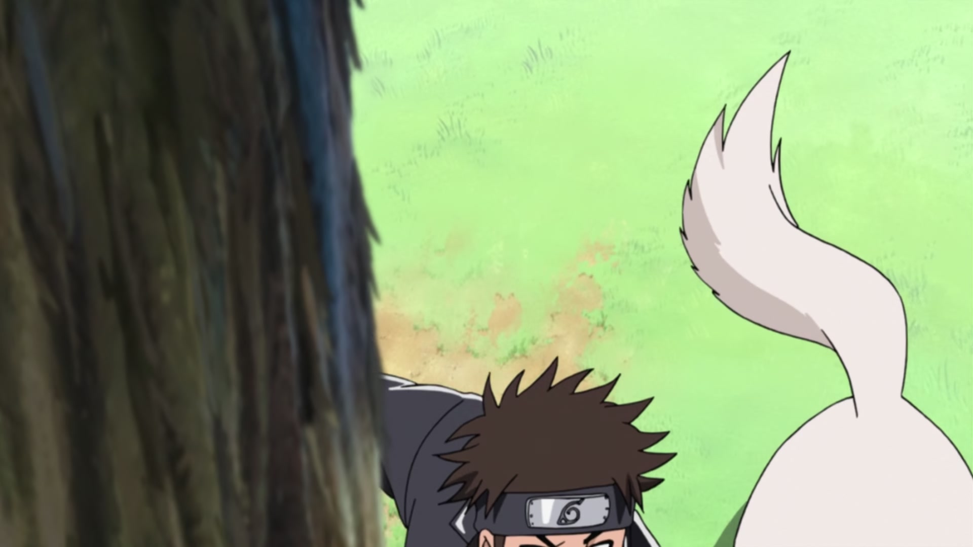 Naruto: Shippuden Ep 240: Kiba's Determination @ 00:12:05