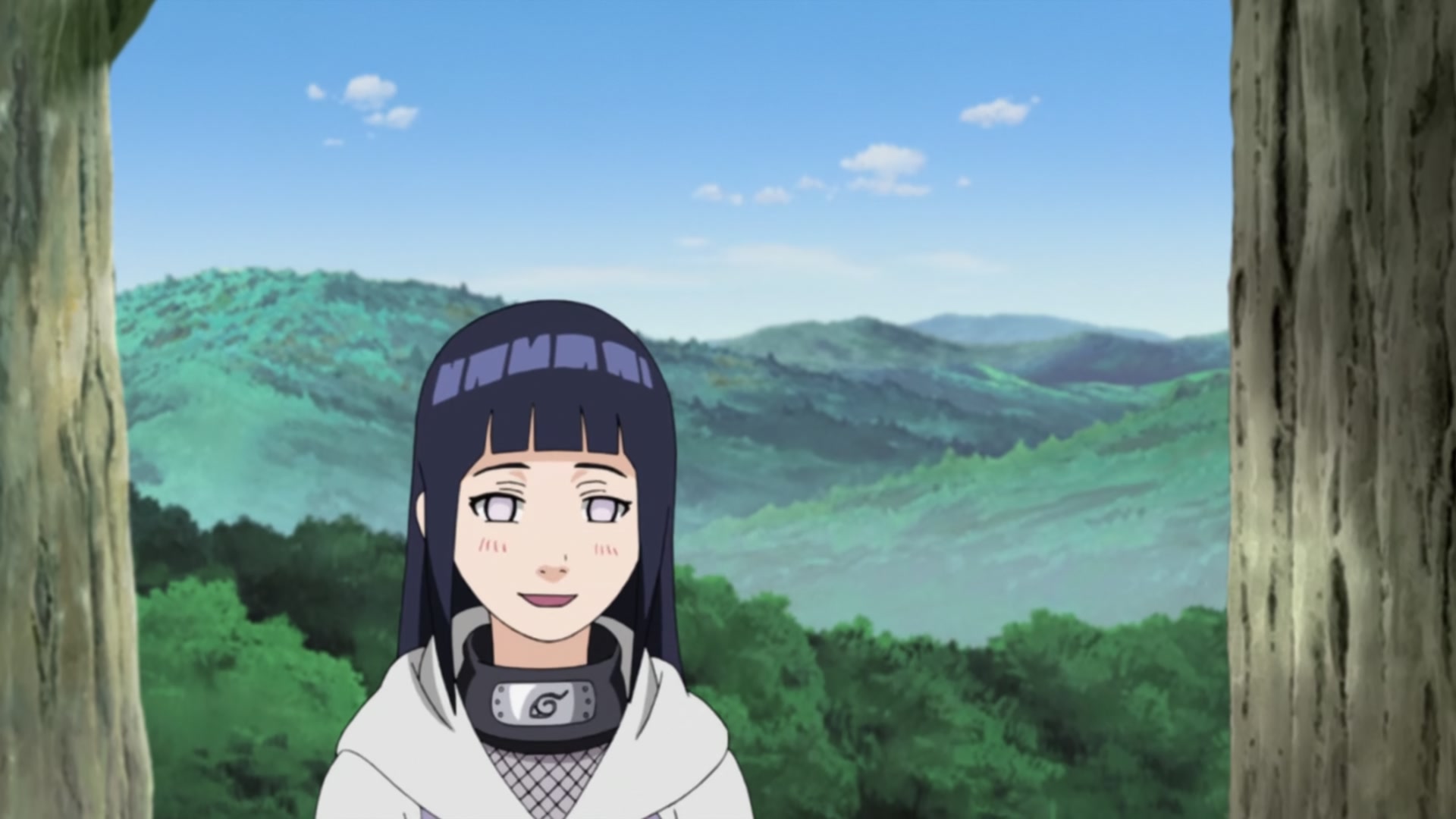 Naruto: Shippuden Ep 240: Kiba's Determination @ 00:12:34