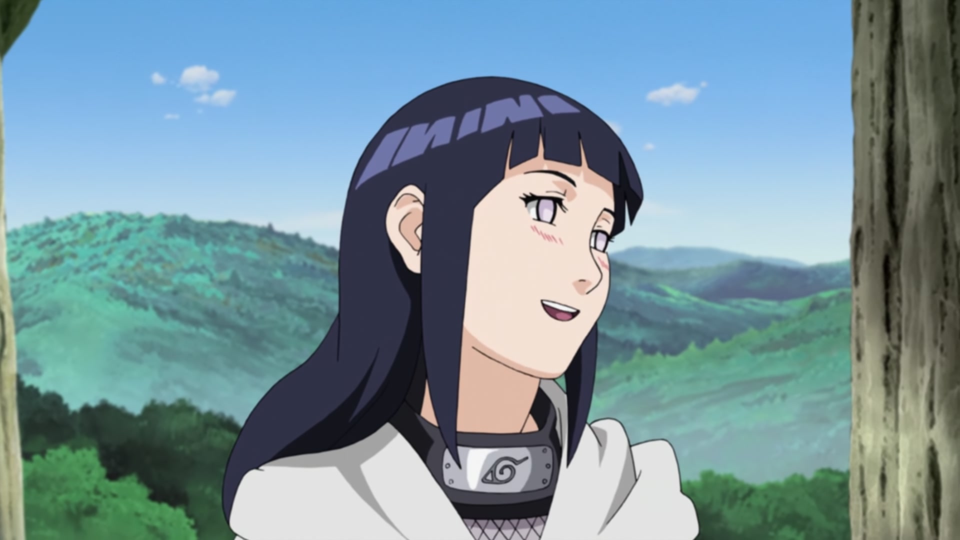 Naruto: Shippuden Ep 240: Kiba's Determination @ 00:12:39