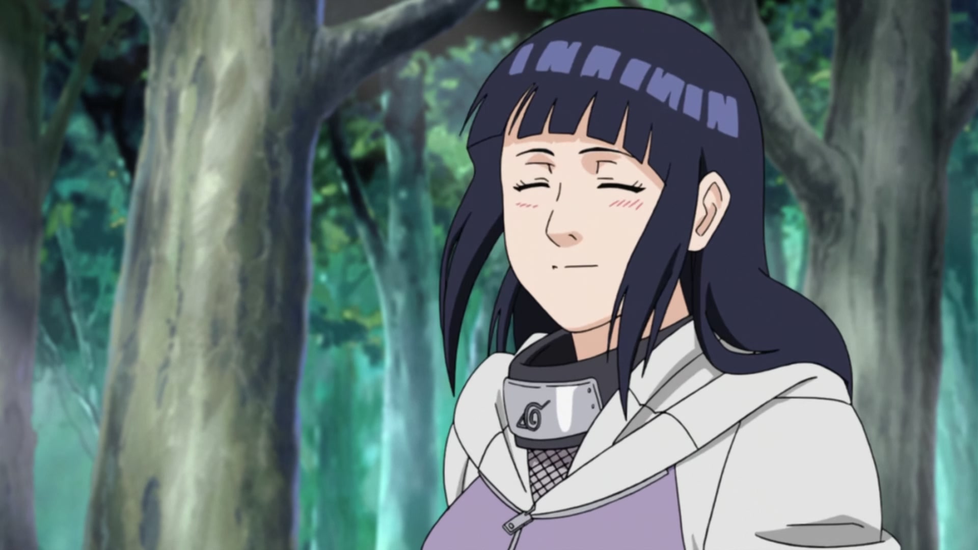 Naruto: Shippuden Ep 240: Kiba's Determination @ 00:14:04