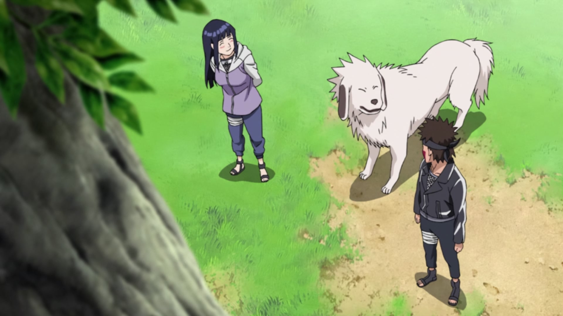 Naruto: Shippuden Ep 240: Kiba's Determination @ 00:14:09