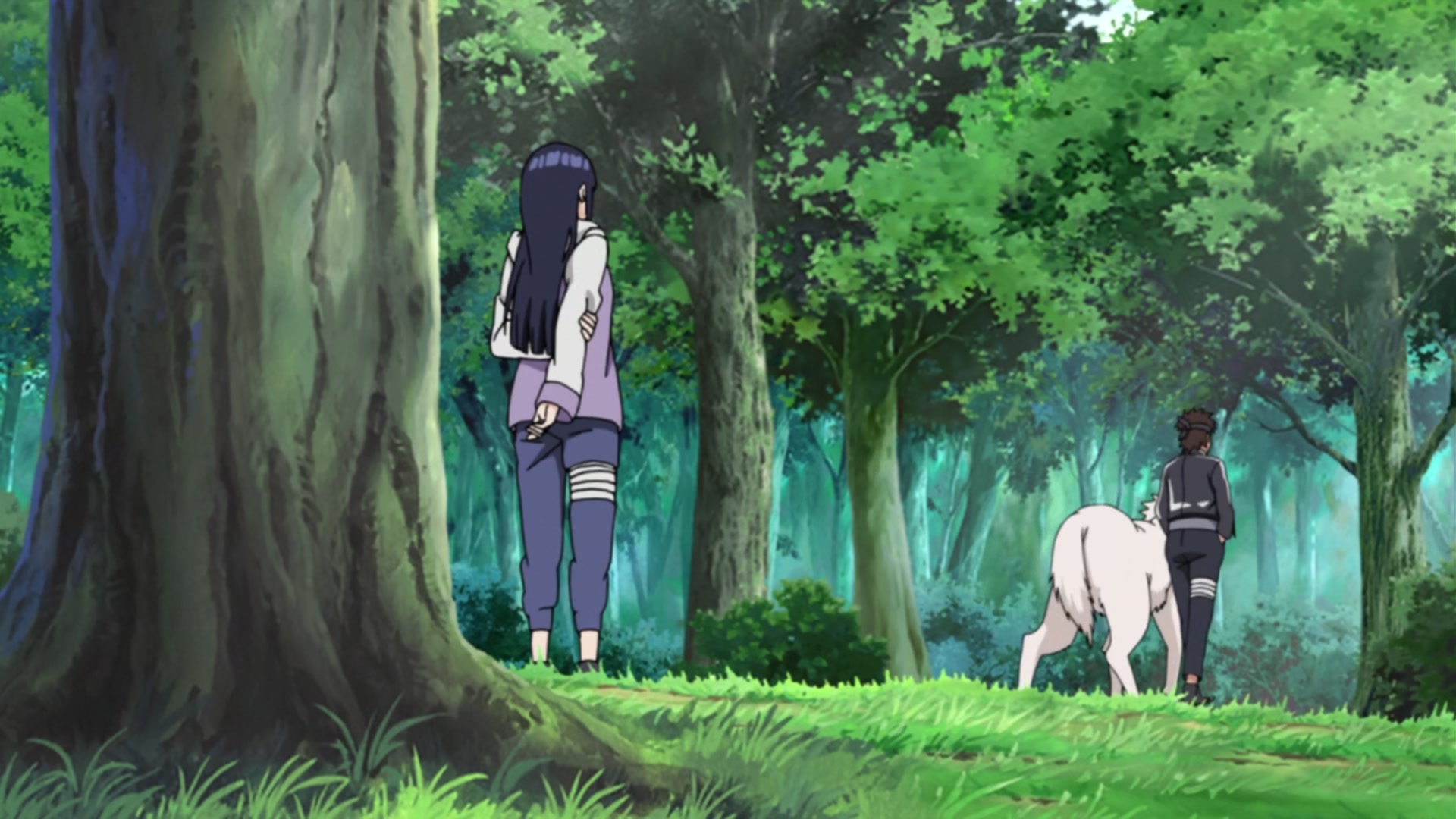 Naruto: Shippuden Ep 240: Kiba's Determination @ 00:14:33