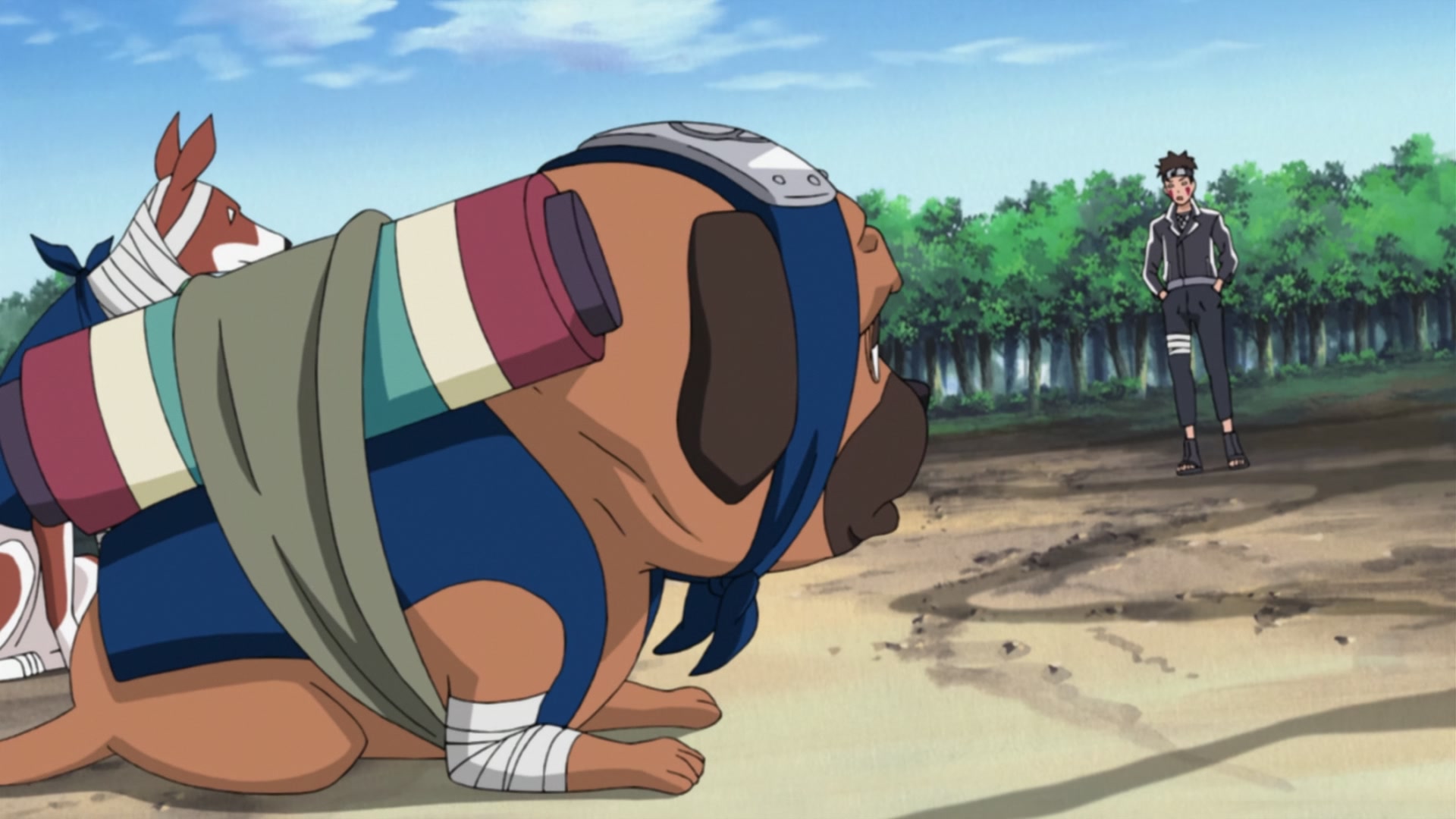 Naruto: Shippuden Ep 240: Kiba's Determination @ 00:15:06