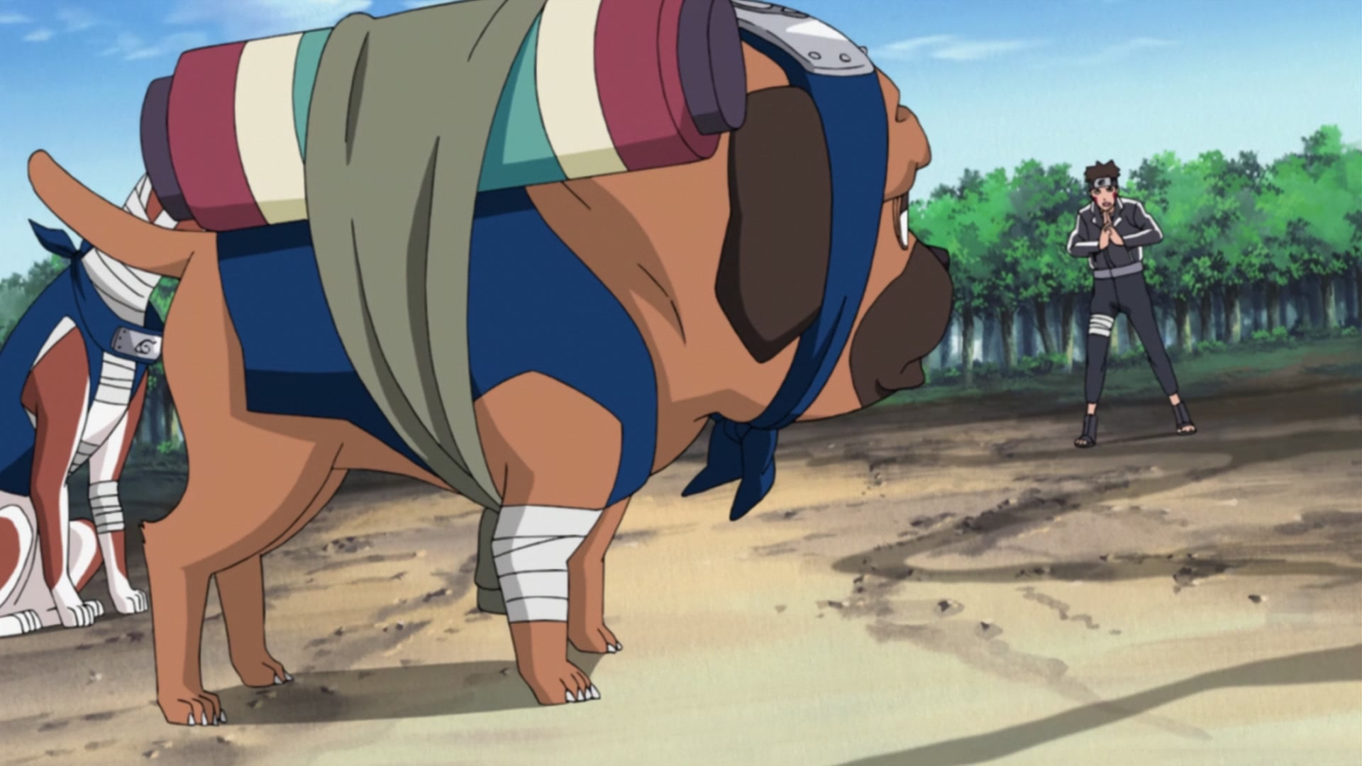 Naruto: Shippuden Ep 240: Kiba's Determination @ 00:15:34